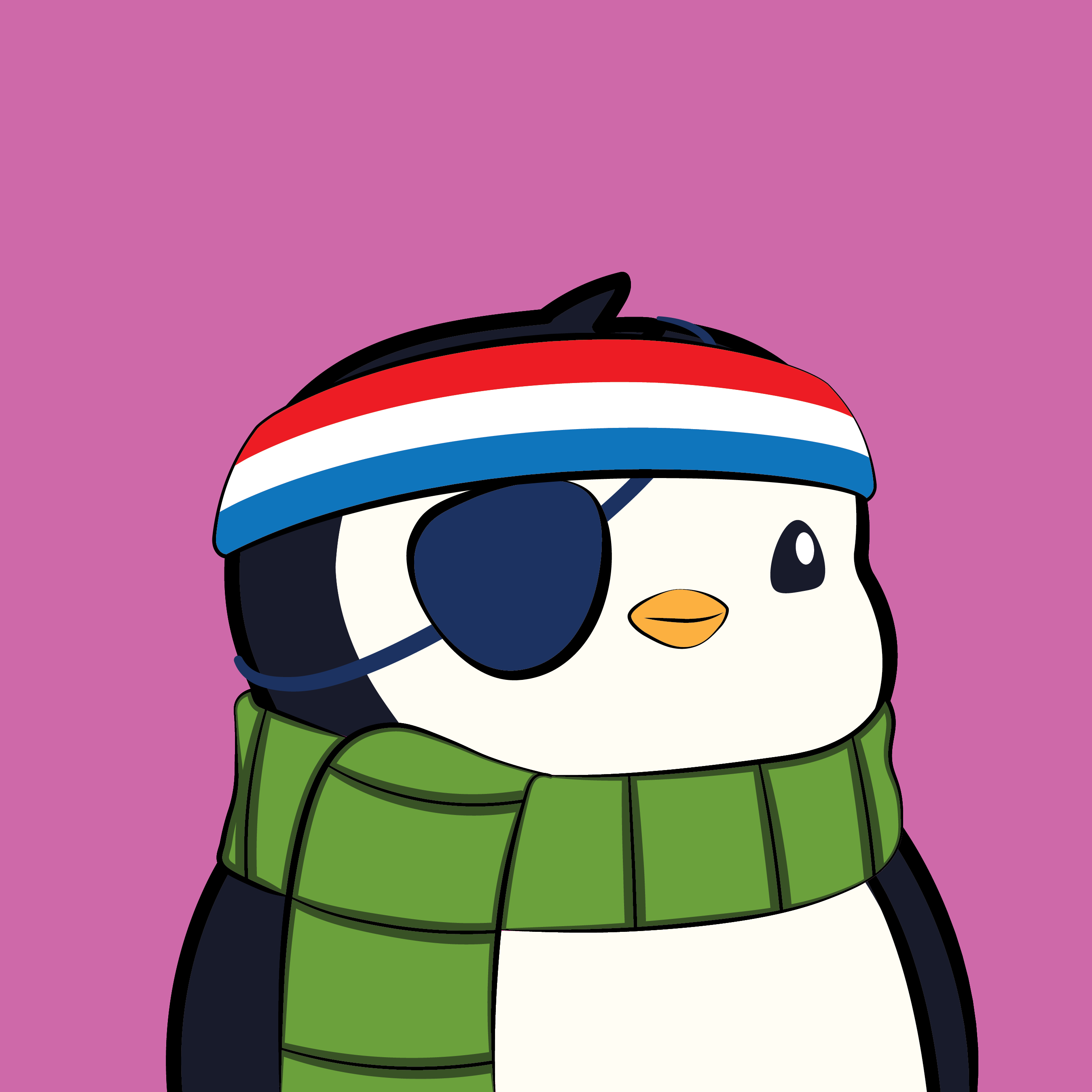 Pudgy Penguin #153