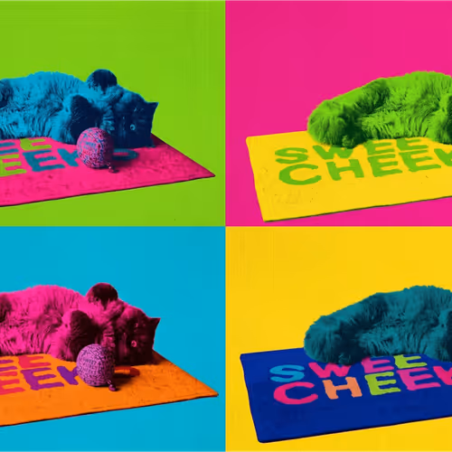 Simba Purrfect: Pop Art - Neon Multiples #01 | ALPHA