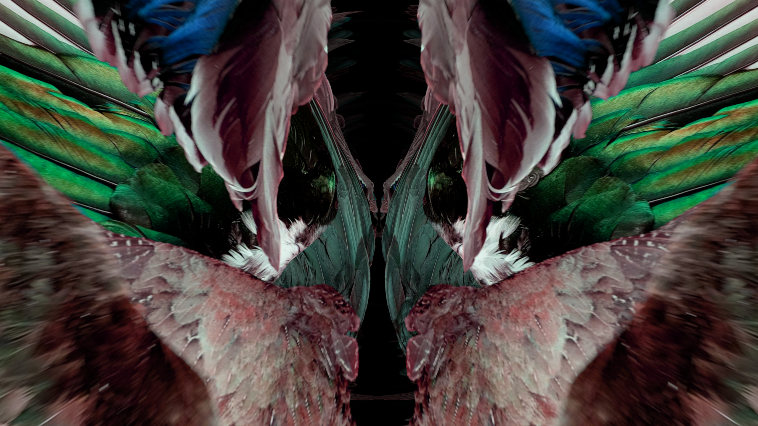 Fuga delle Sirene LI