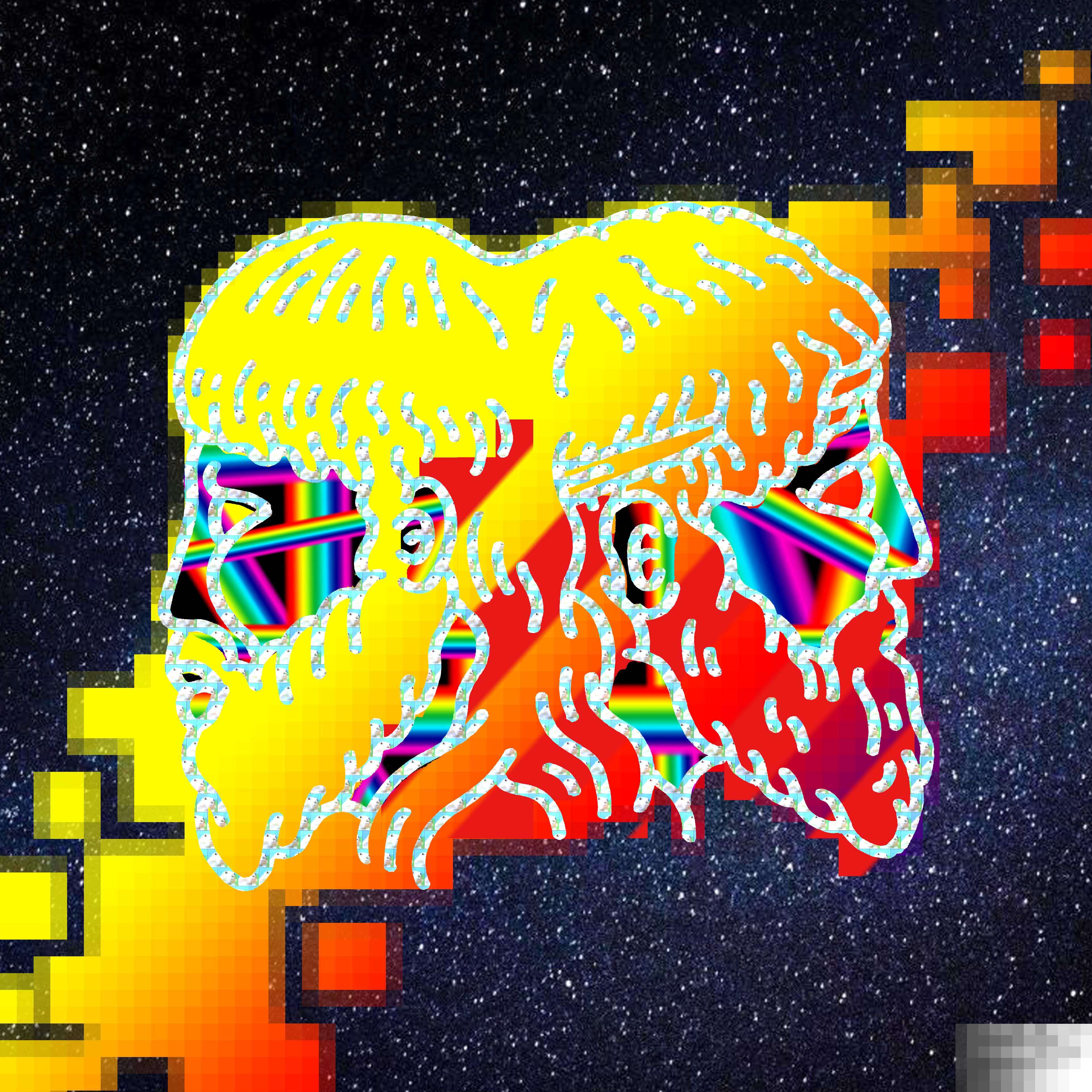 JANUS #38