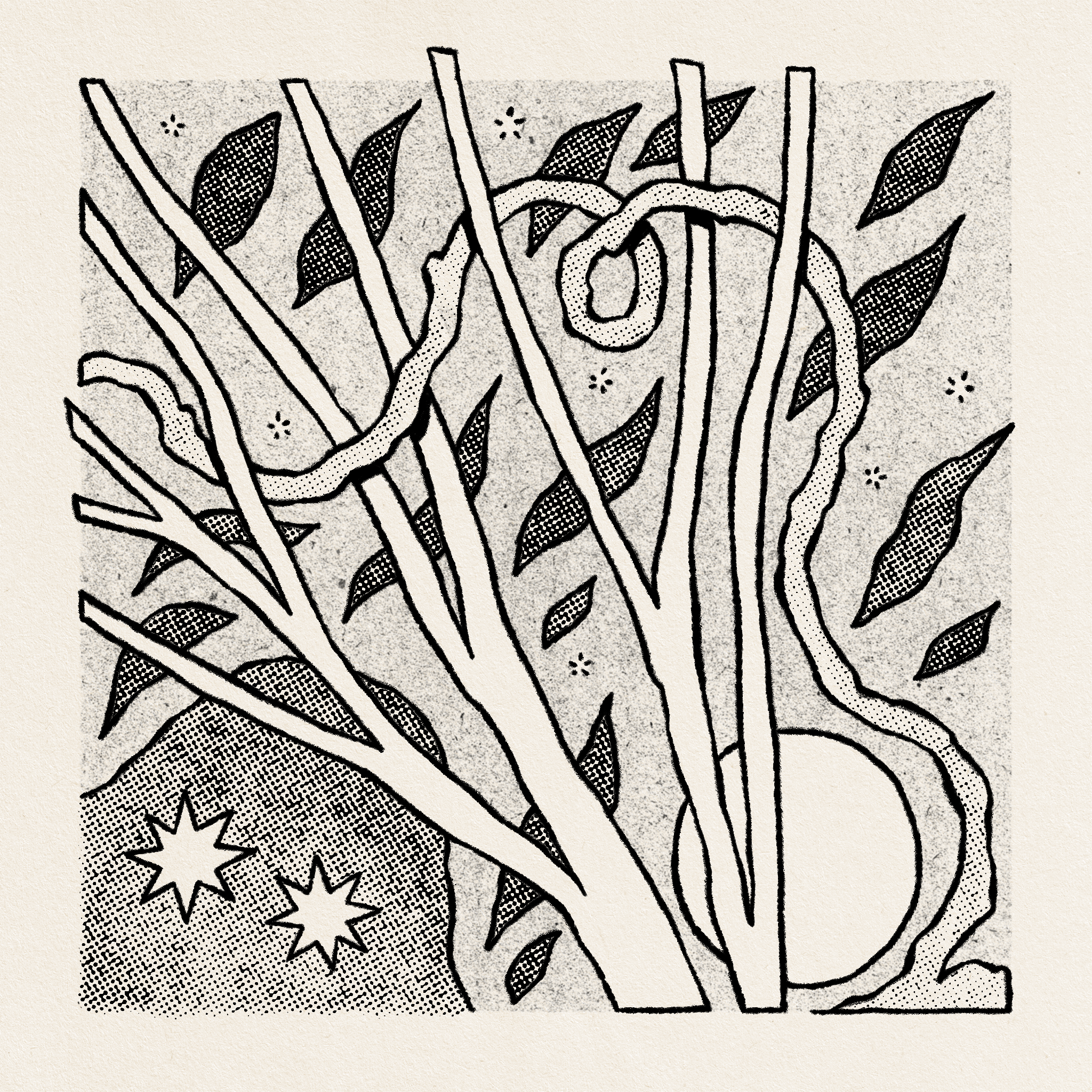 Energy Sketch #31