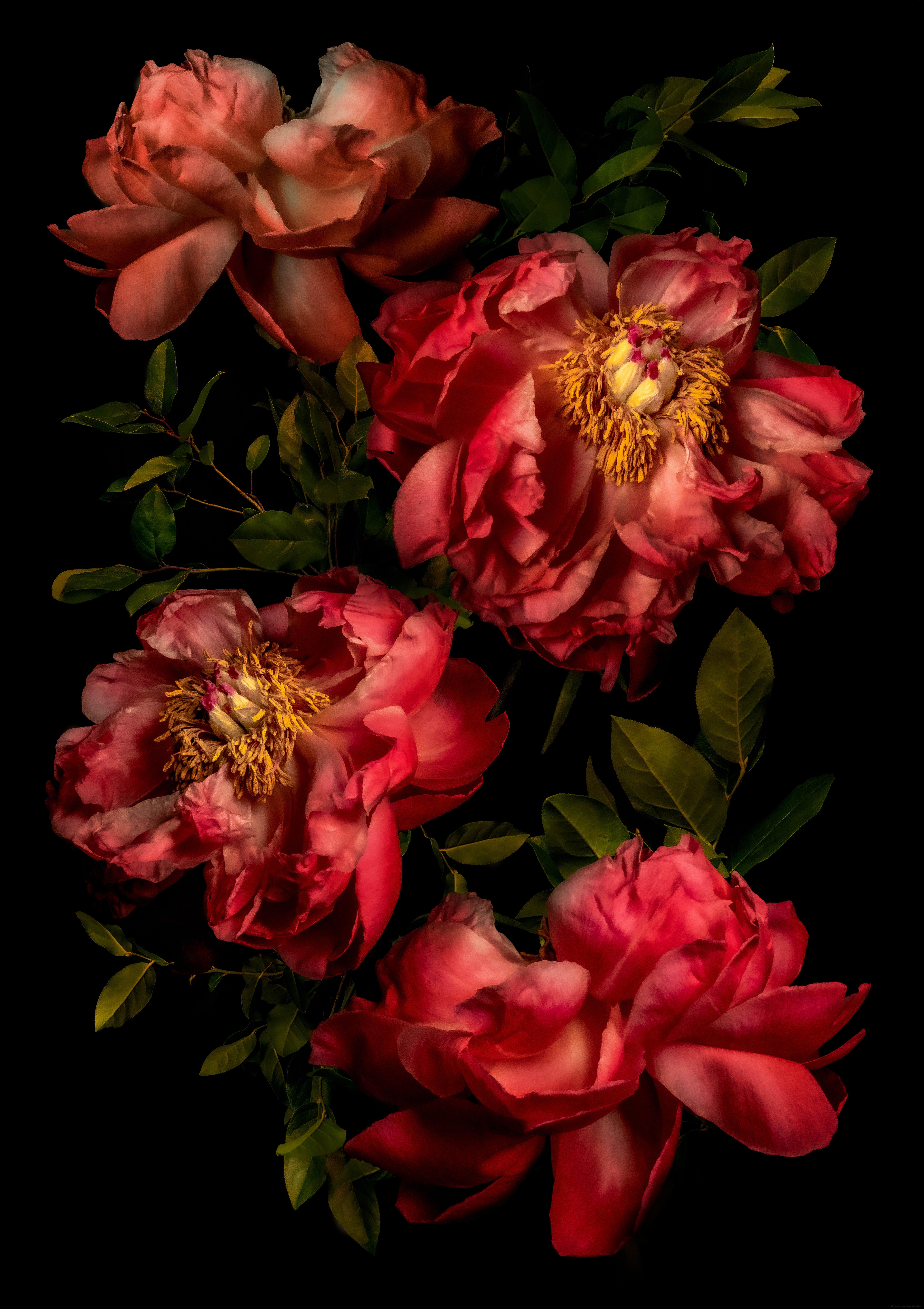 IN STRUCTURAM AMORIS