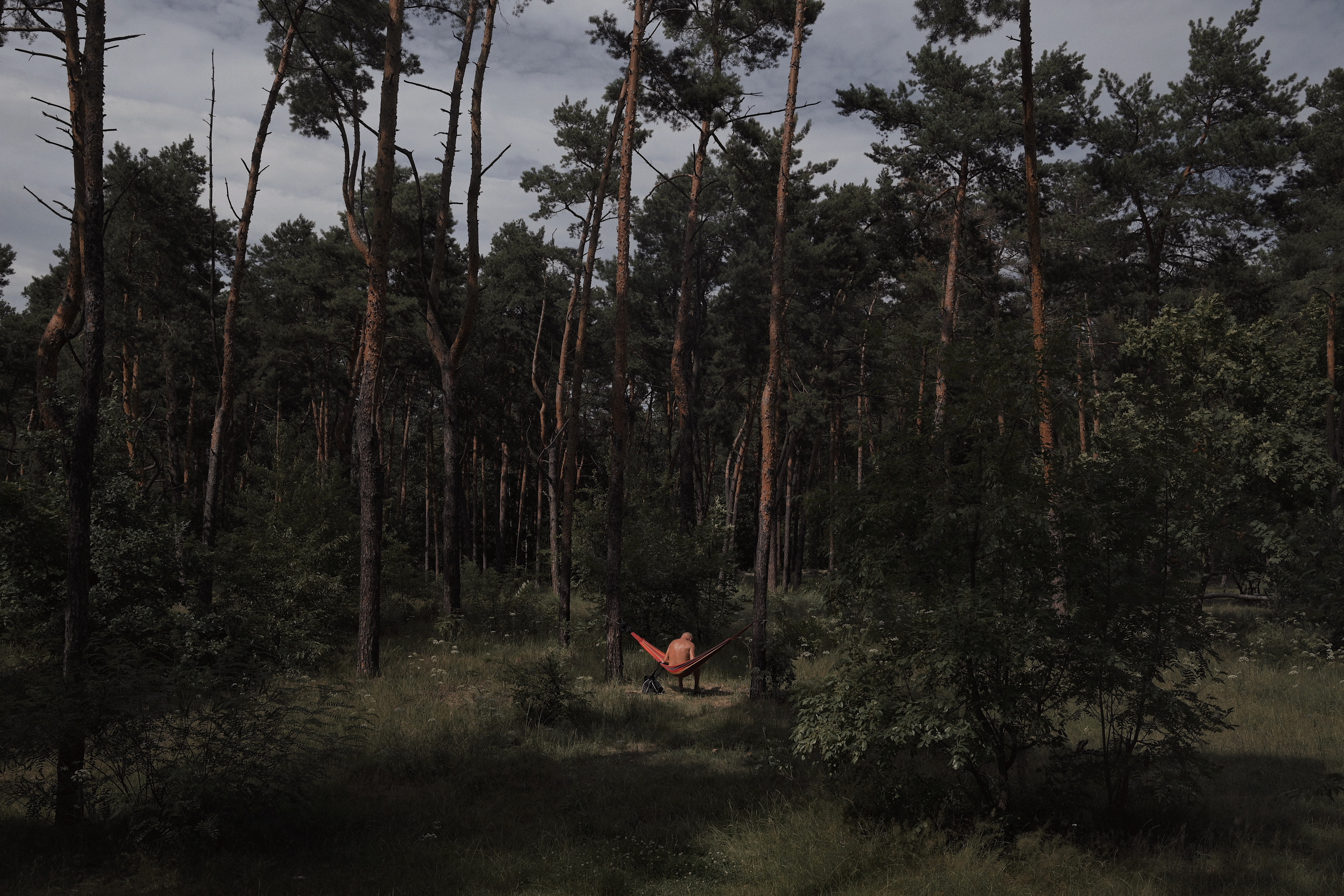 Where I was Born #27