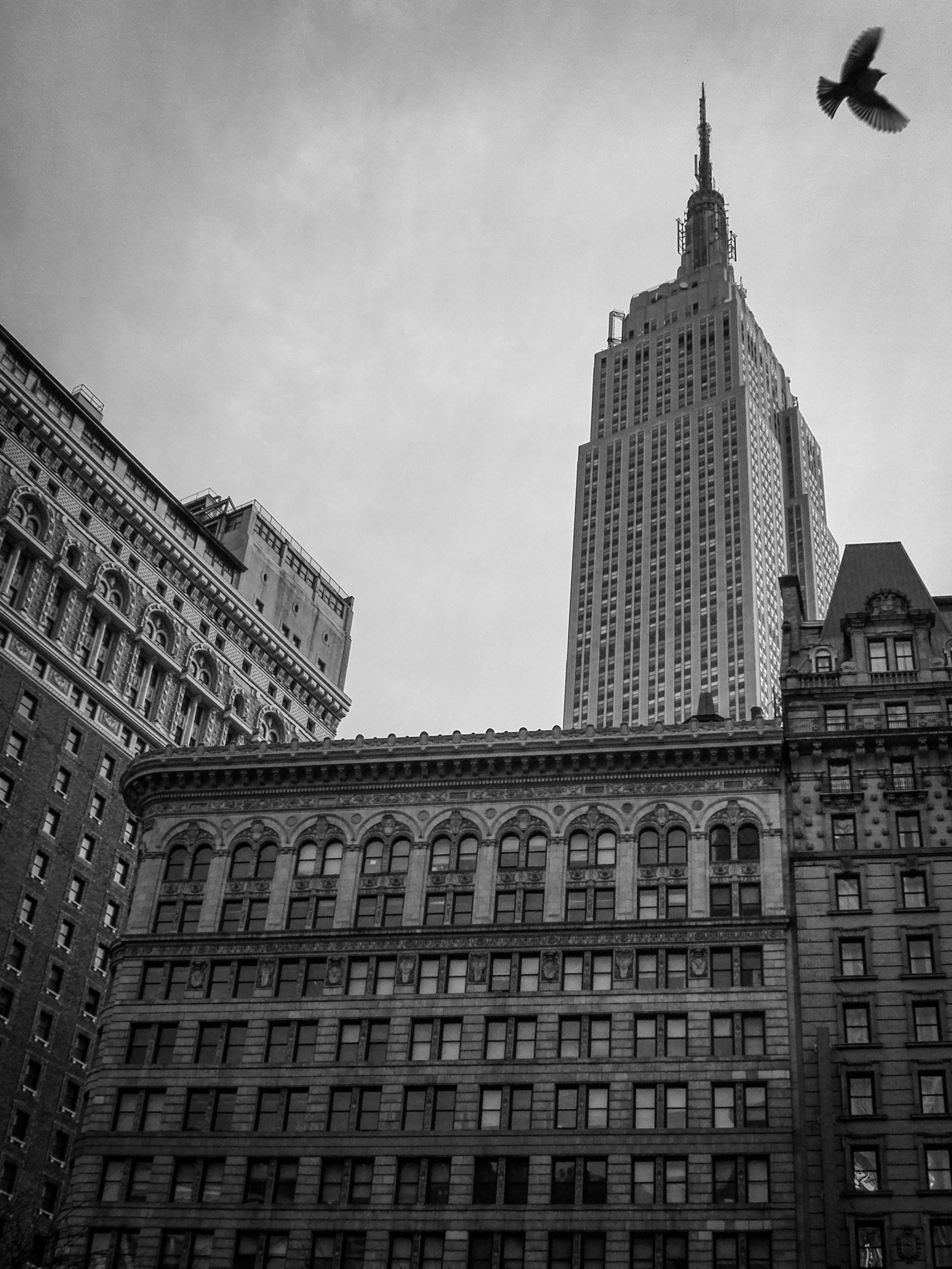 Flying Away from the Empire