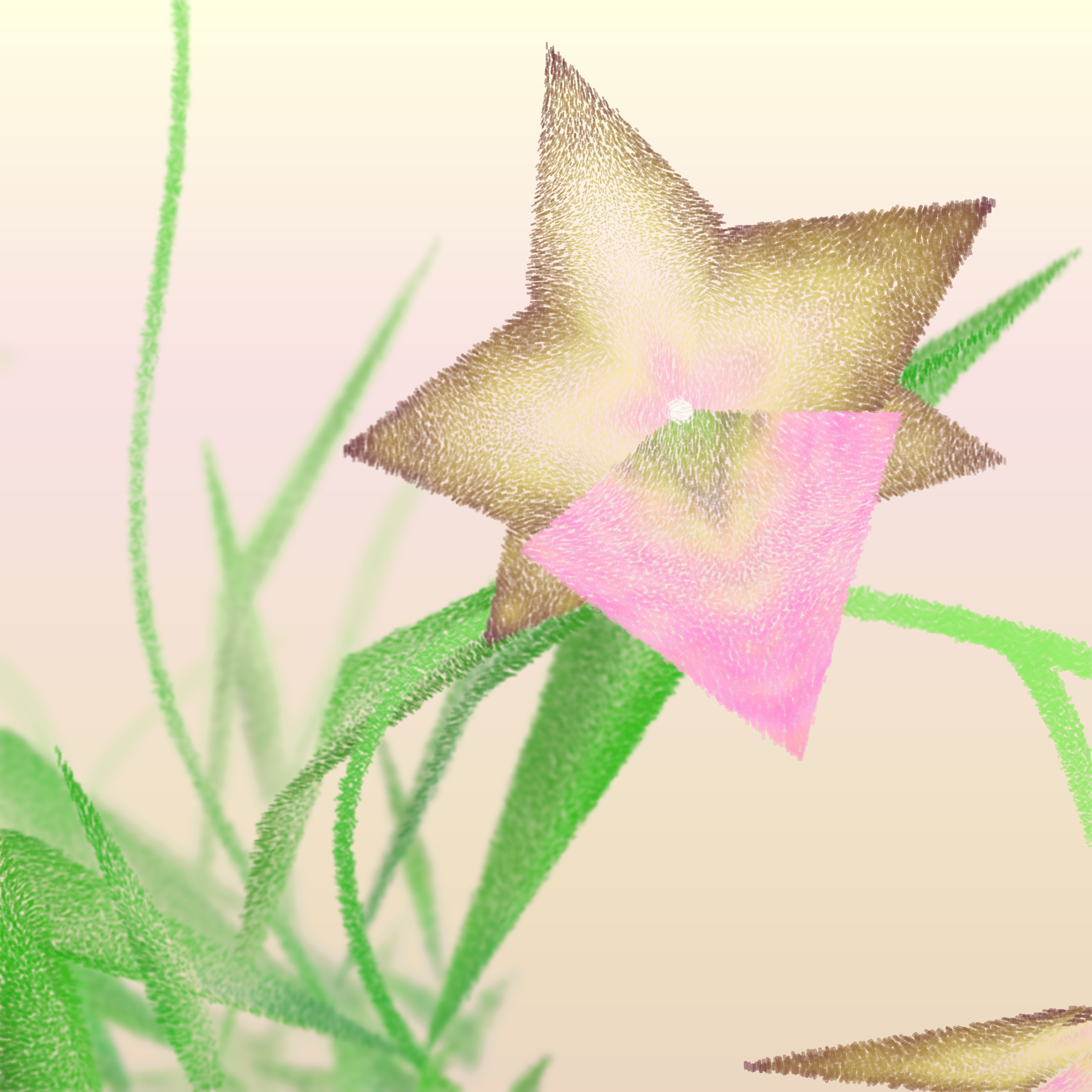 Cattleya #255