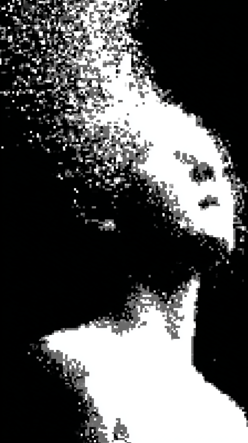 Disappearing Into The Dark