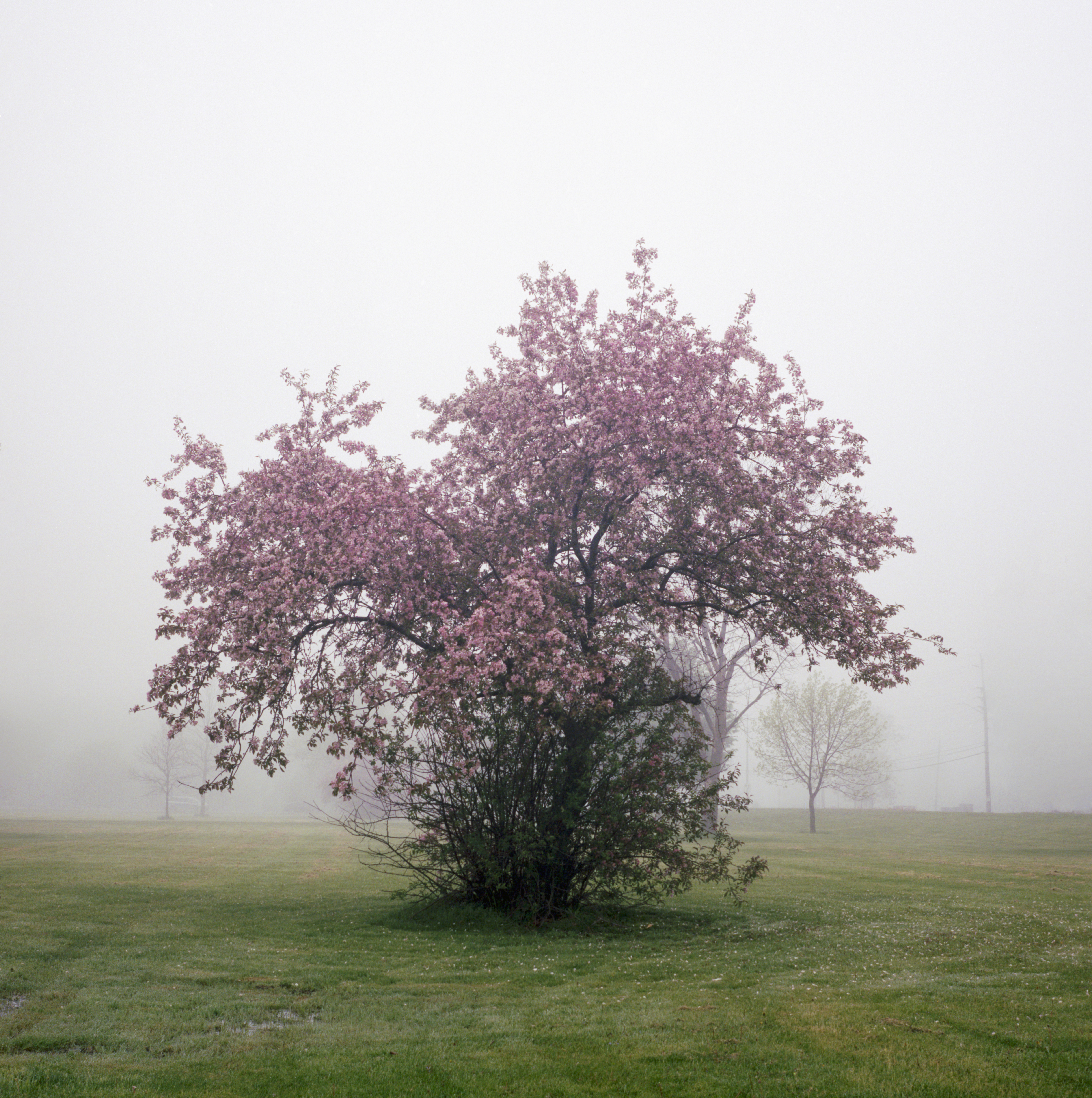 May Was Struggling To Find Solitude In Growth