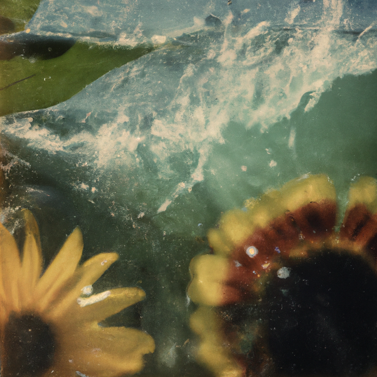 Tsunflower Chaos #153