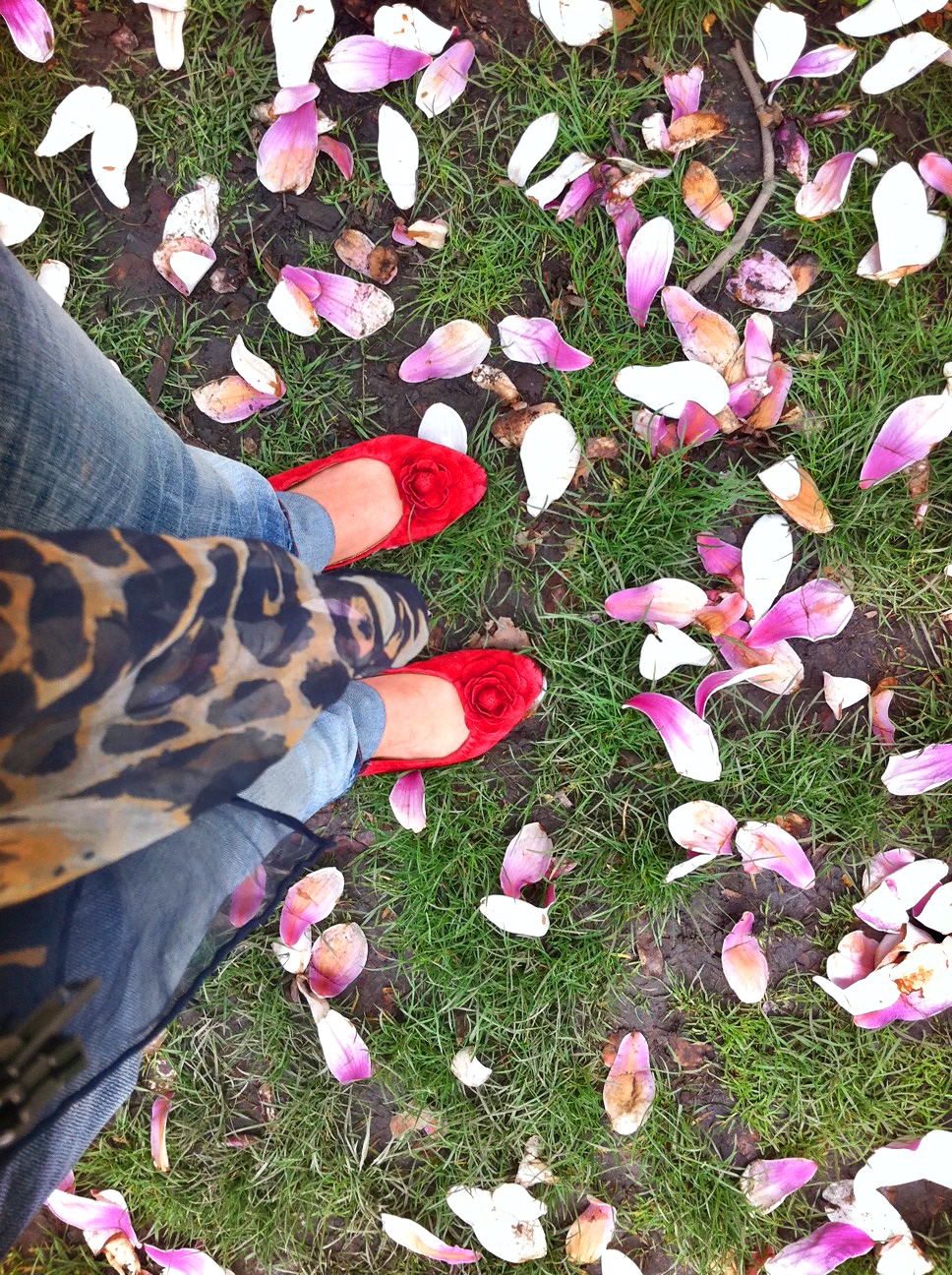 WMFG Special Edition - 4 Seasons, Spring #23/25