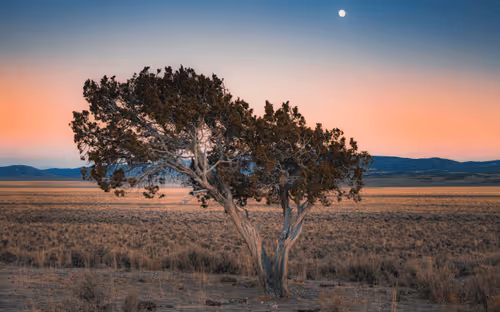 Pastel Gowth - A Change for All #6