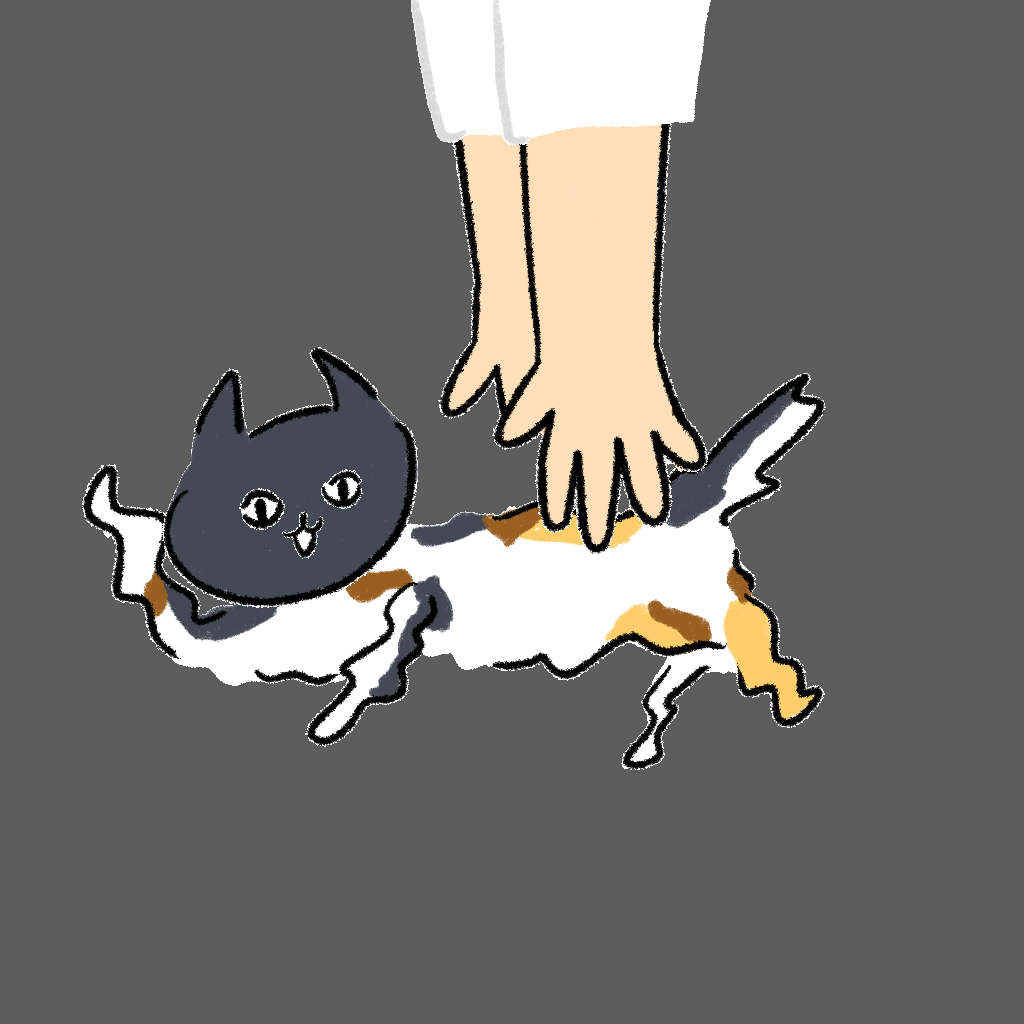 #3436 Hashimoto Cat