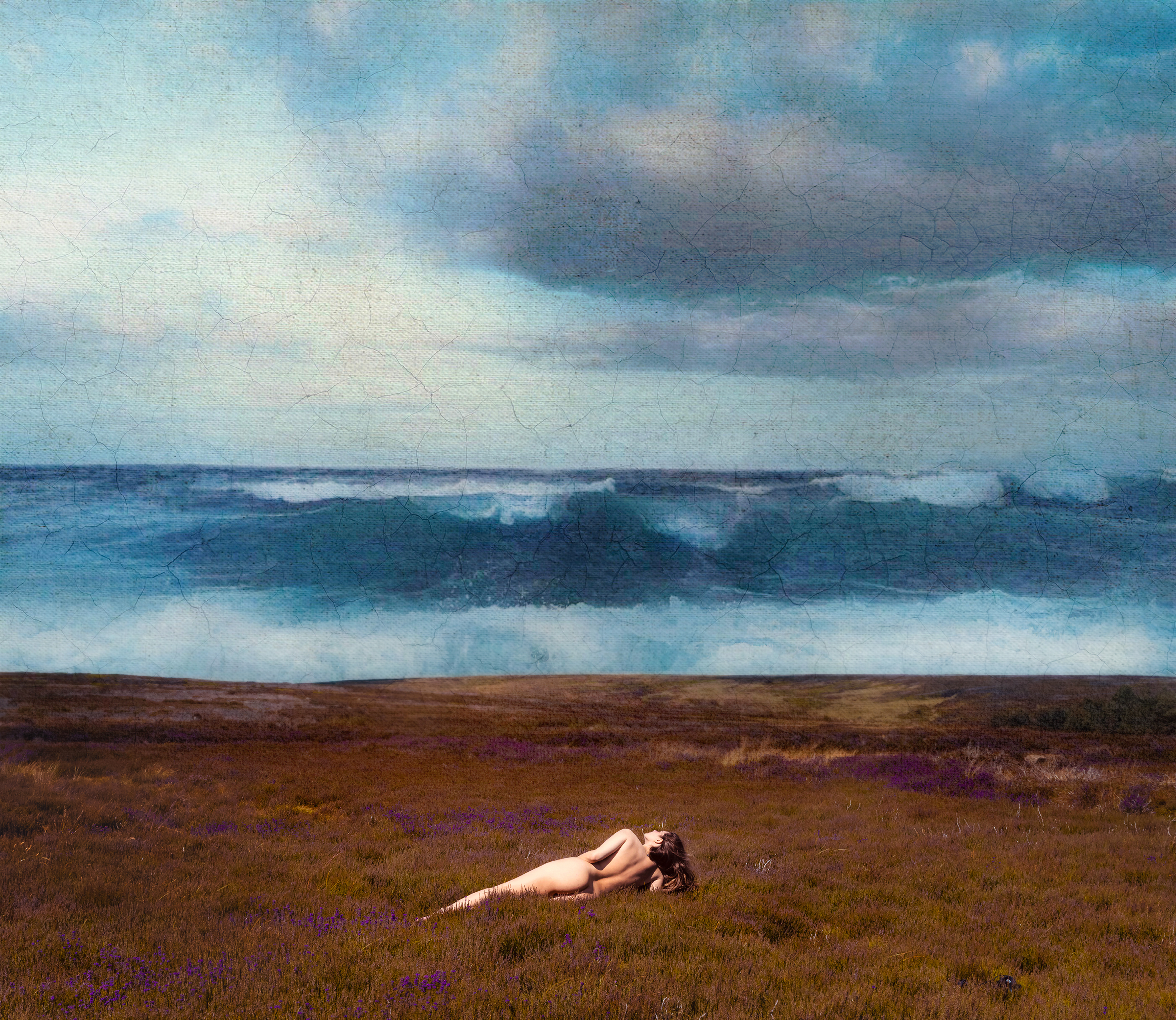 Canvas II: Yorkshire Moor