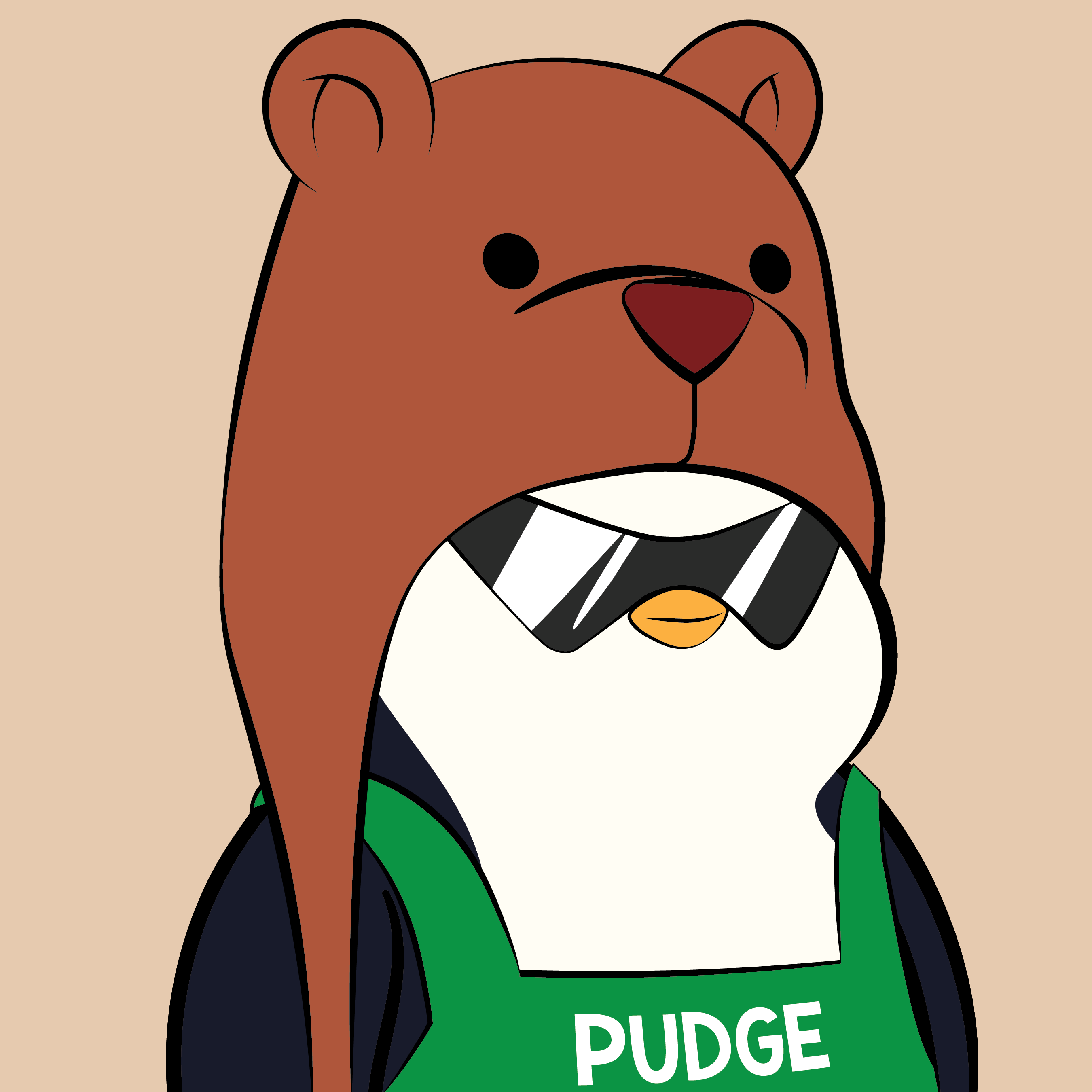 Pudgy #1719