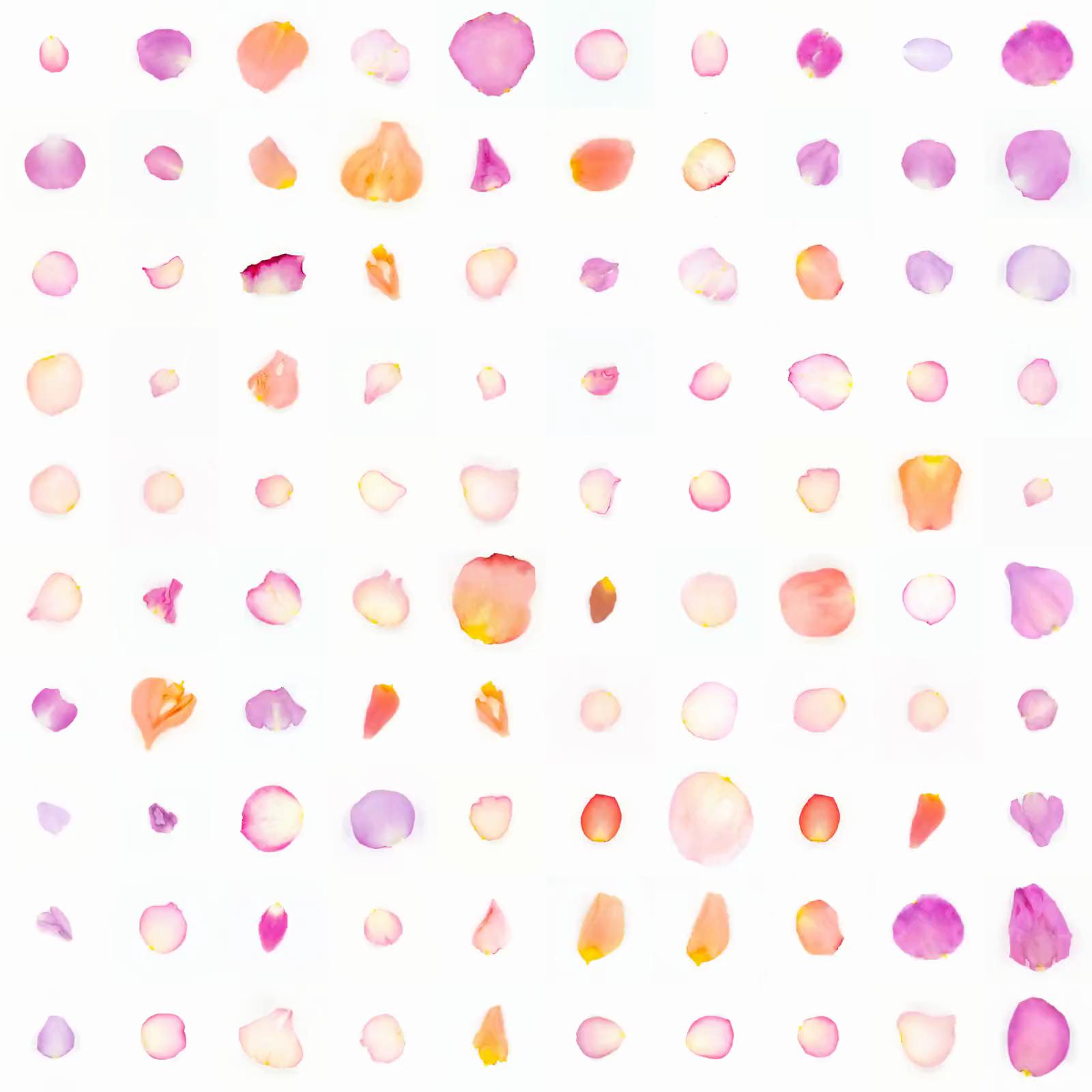 Infinite Petals 10x10#21