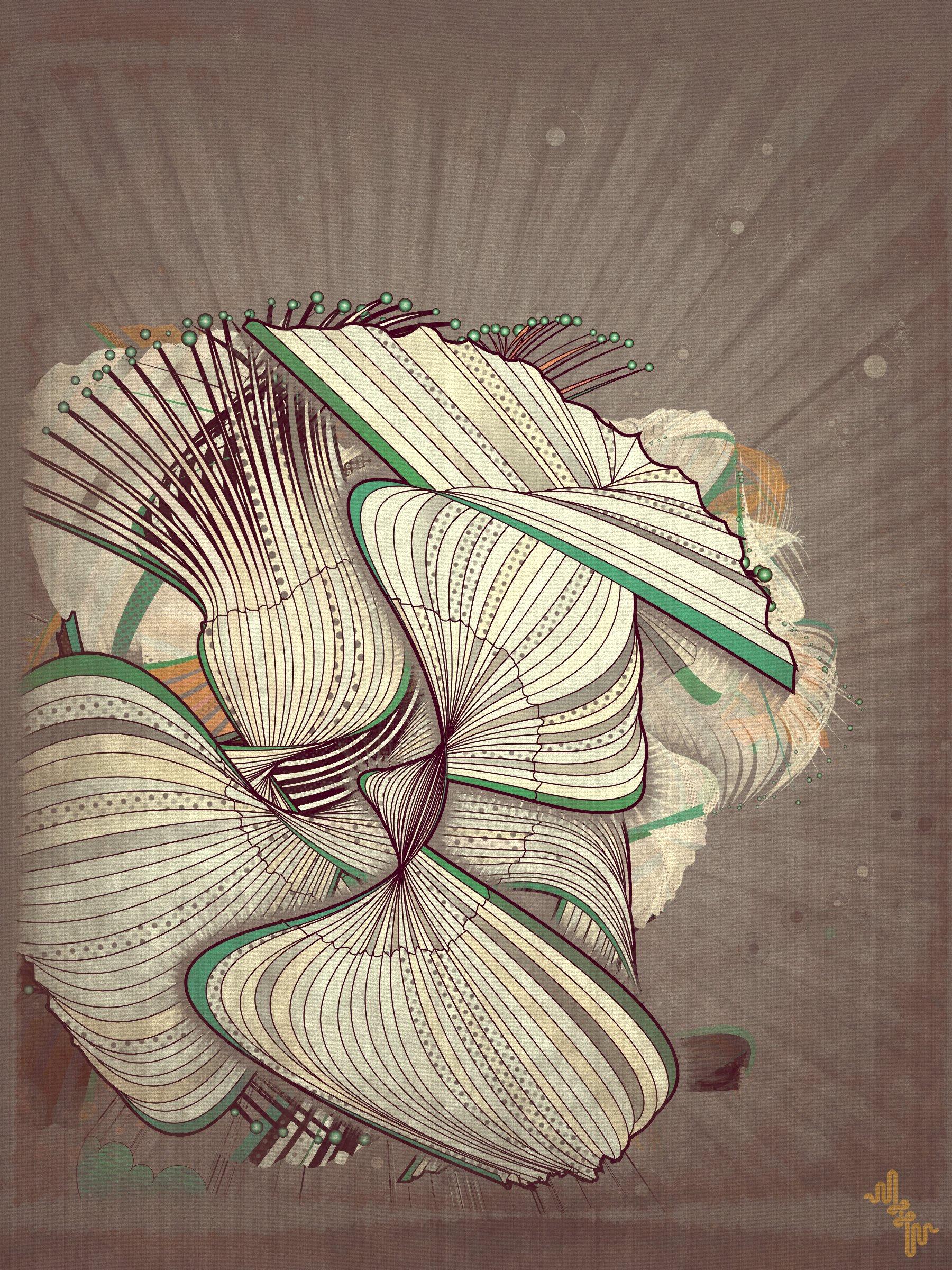 Velum #10