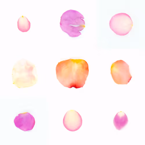 Infinite Petals 3x3#139