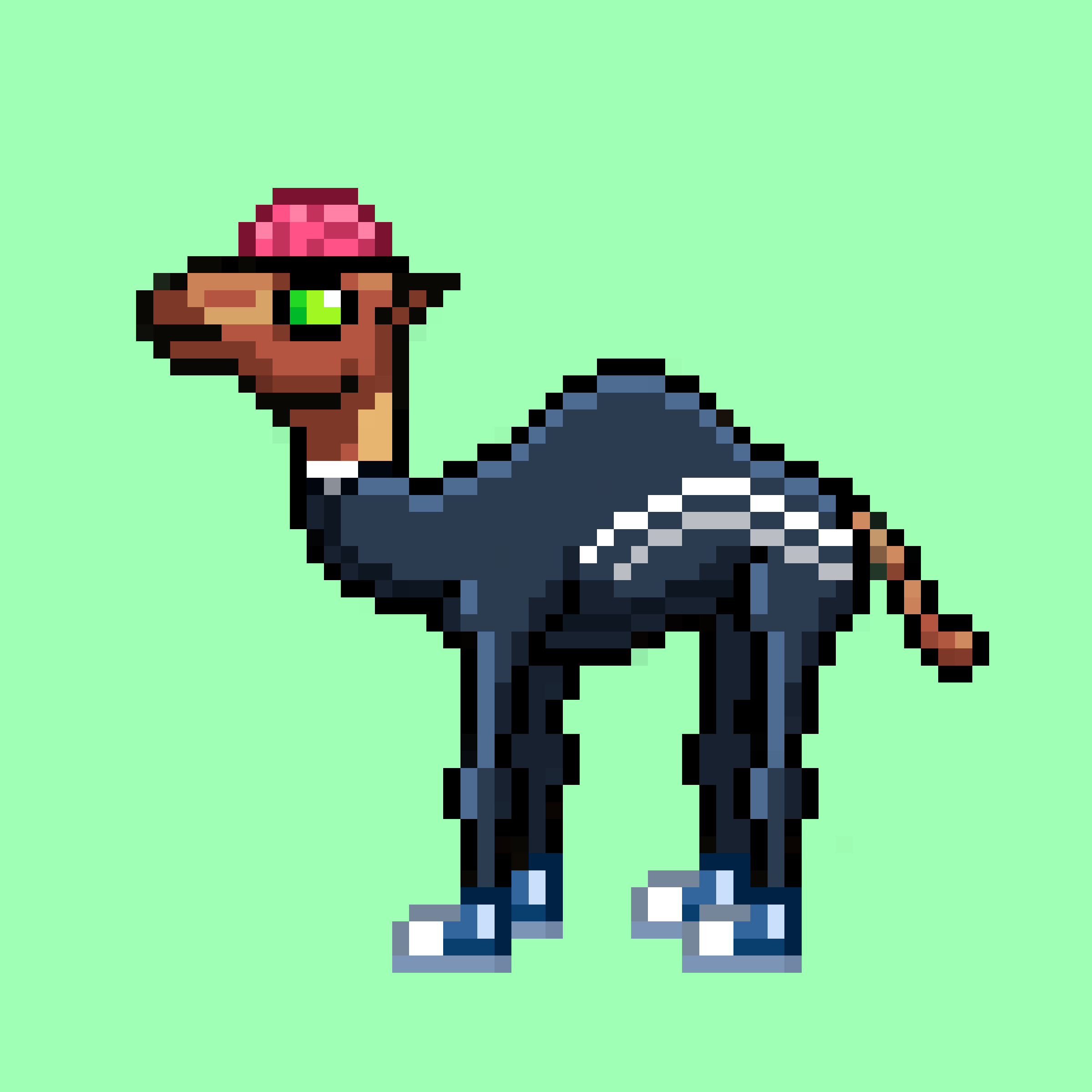 CryptoCamels #1705