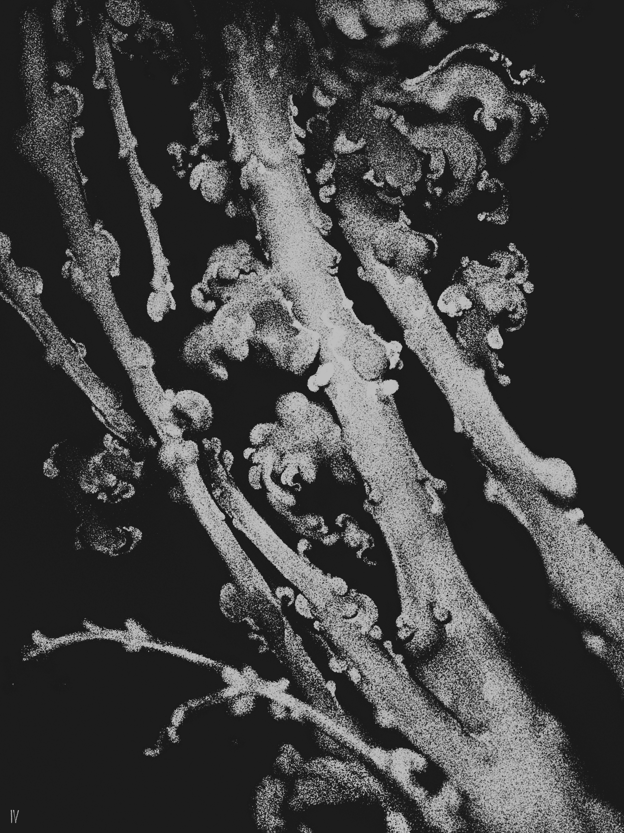 Dry leaves and dark dust II