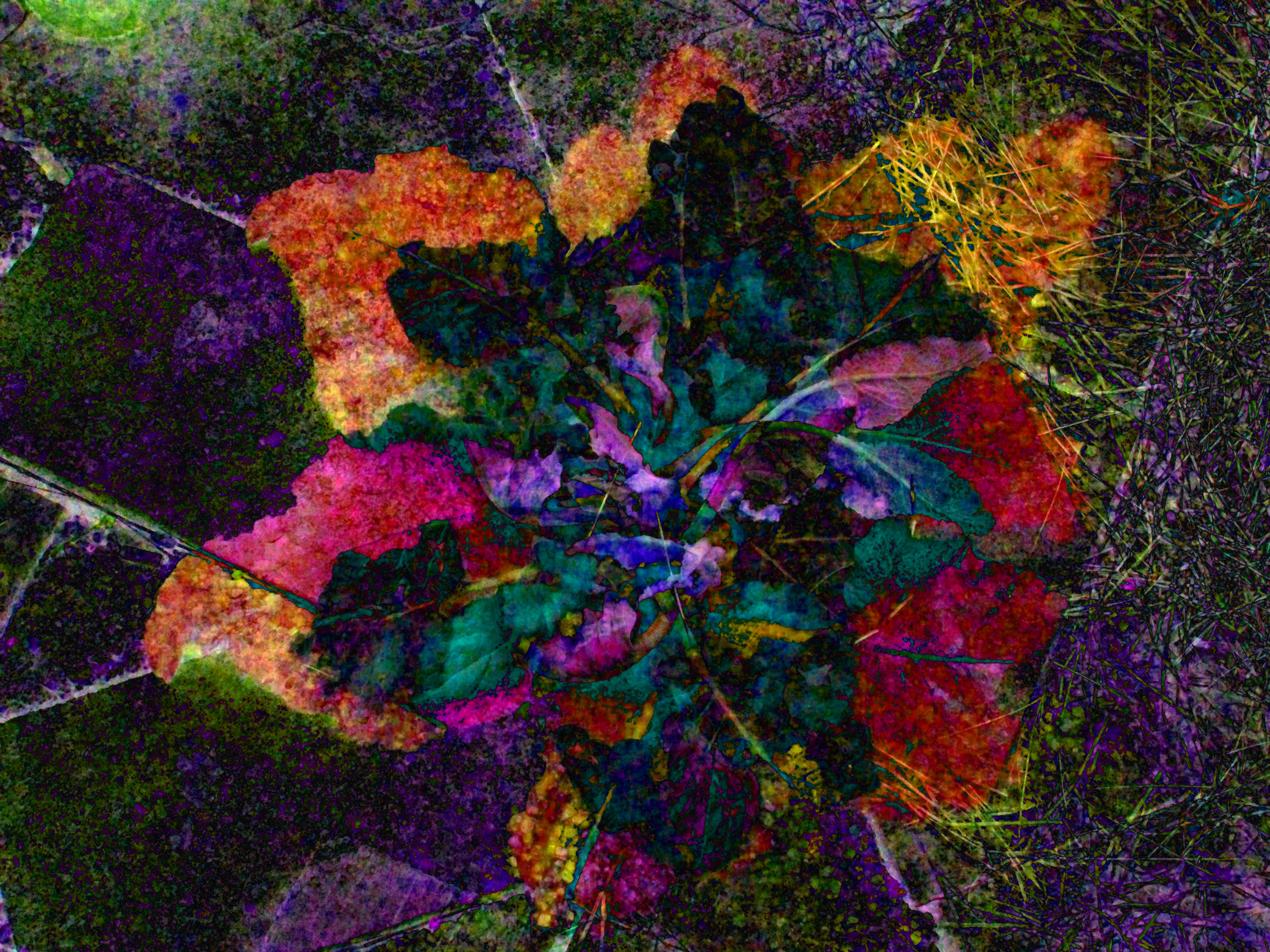 #46 - flor