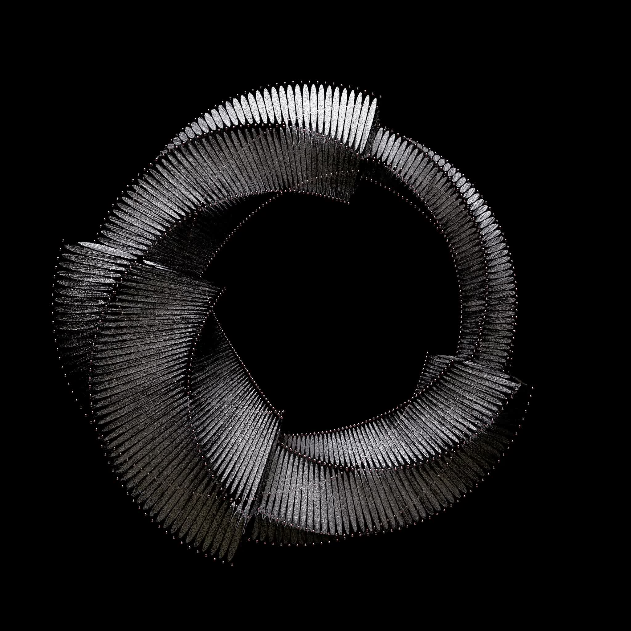 Chained to the Loop #24/40