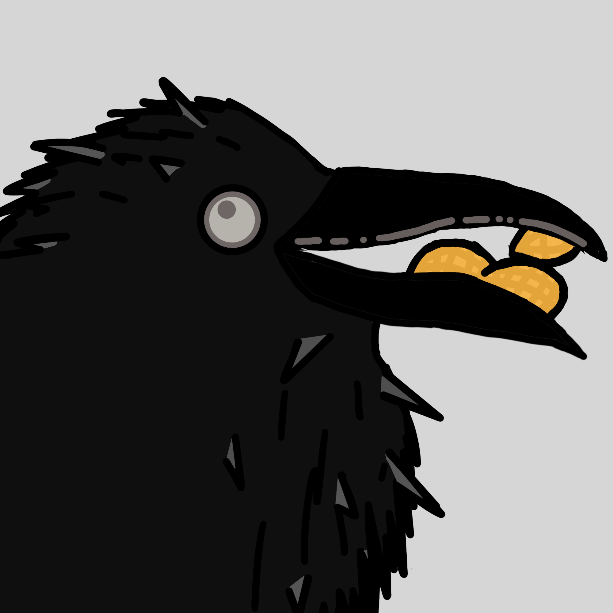 Crow Friends #190