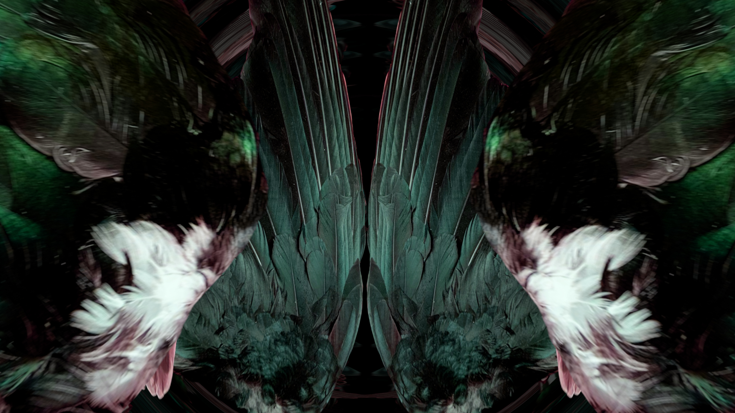 Fuga delle Sirene LV