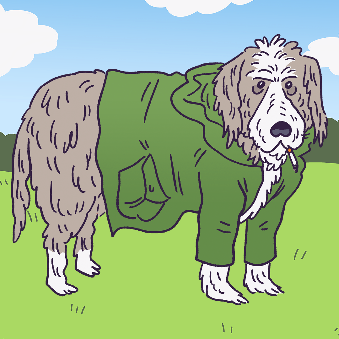 Wythenshawe Dog #1467