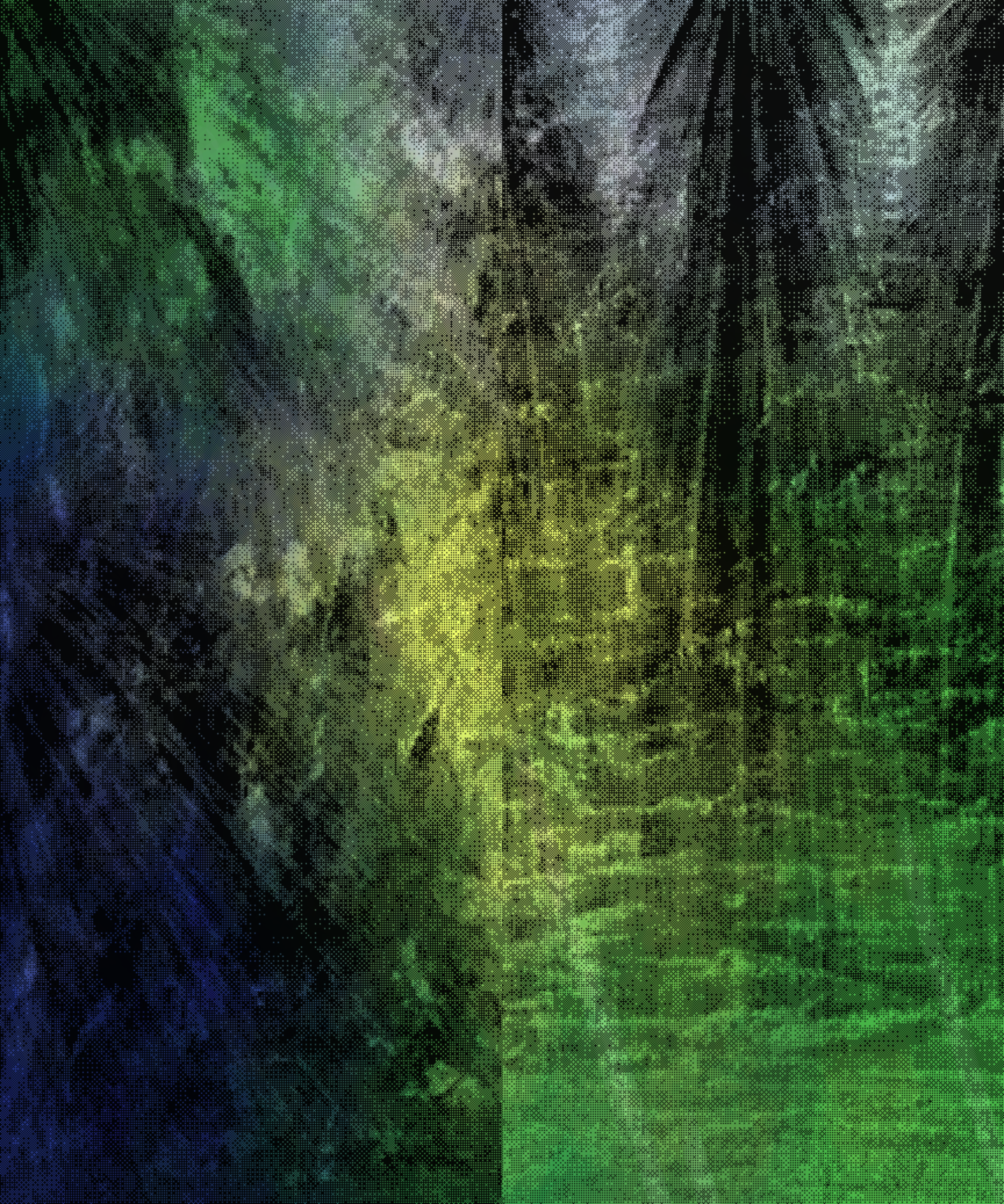 the spring begins with the first rainstorm #219