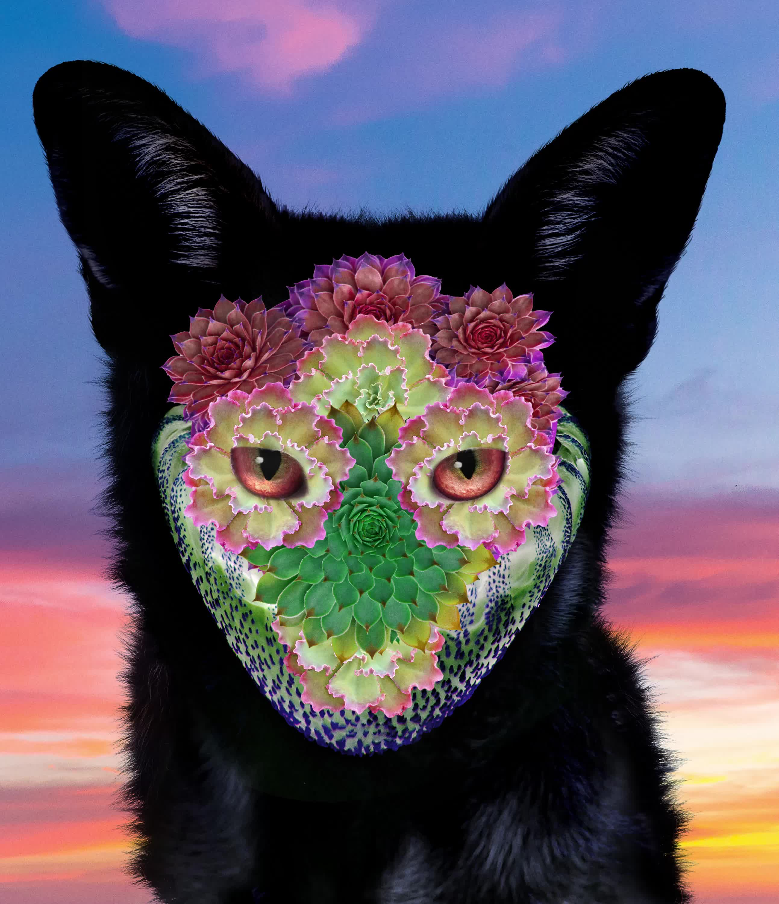 Tenebris Vulpes #15/63