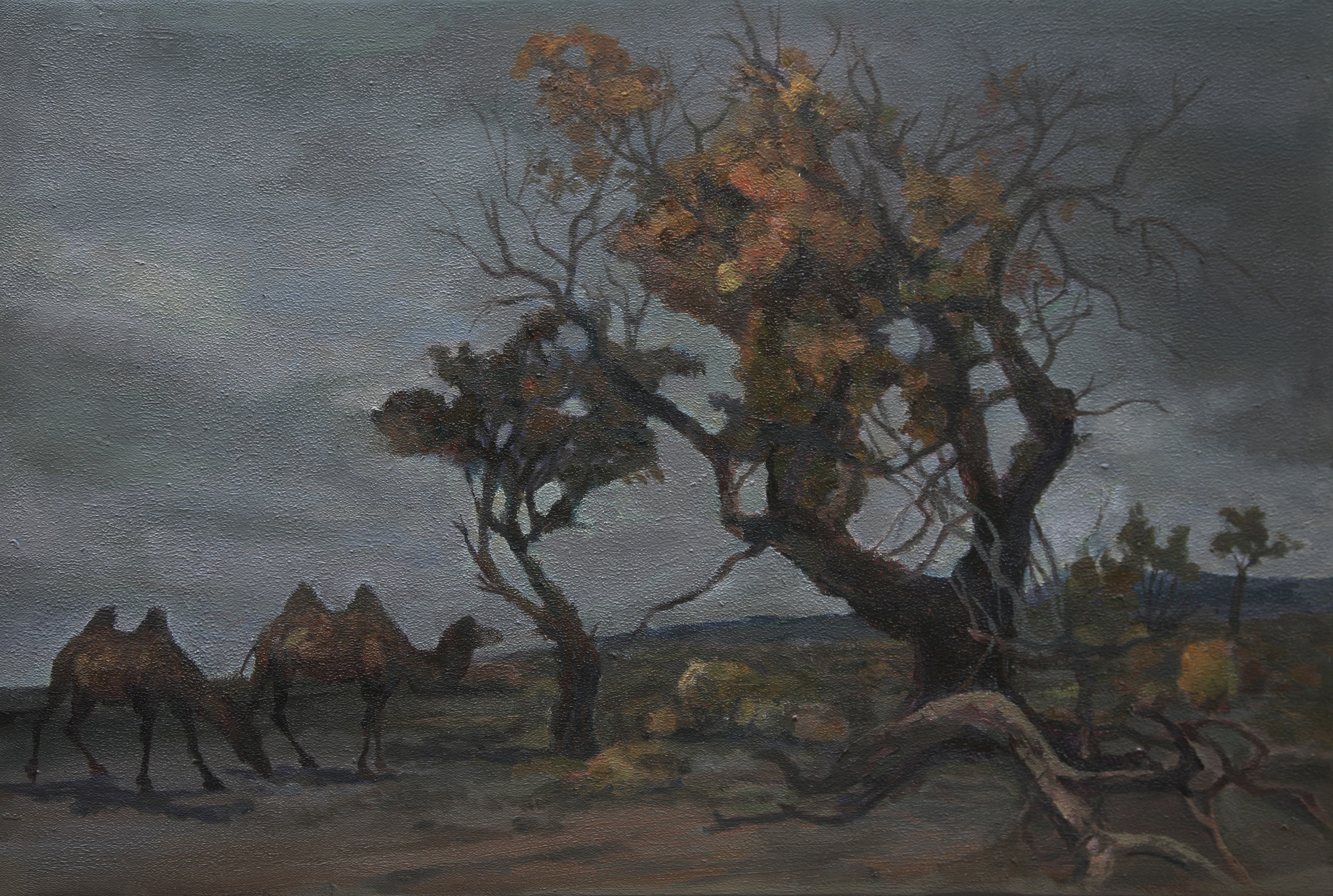 The camel reflects on the past, treading the desert with steadfastness;