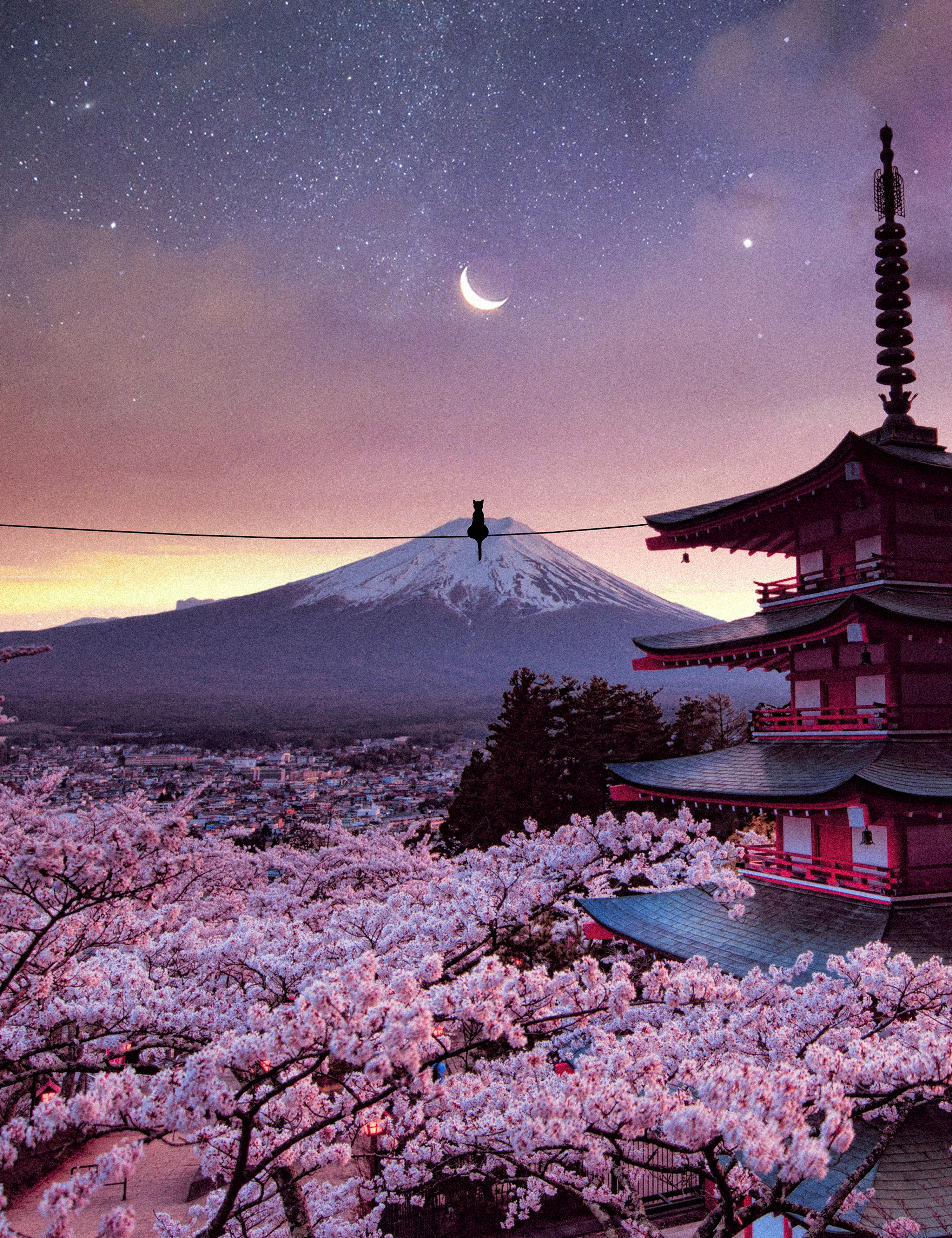 The Cat And The Moon / OE #134/140