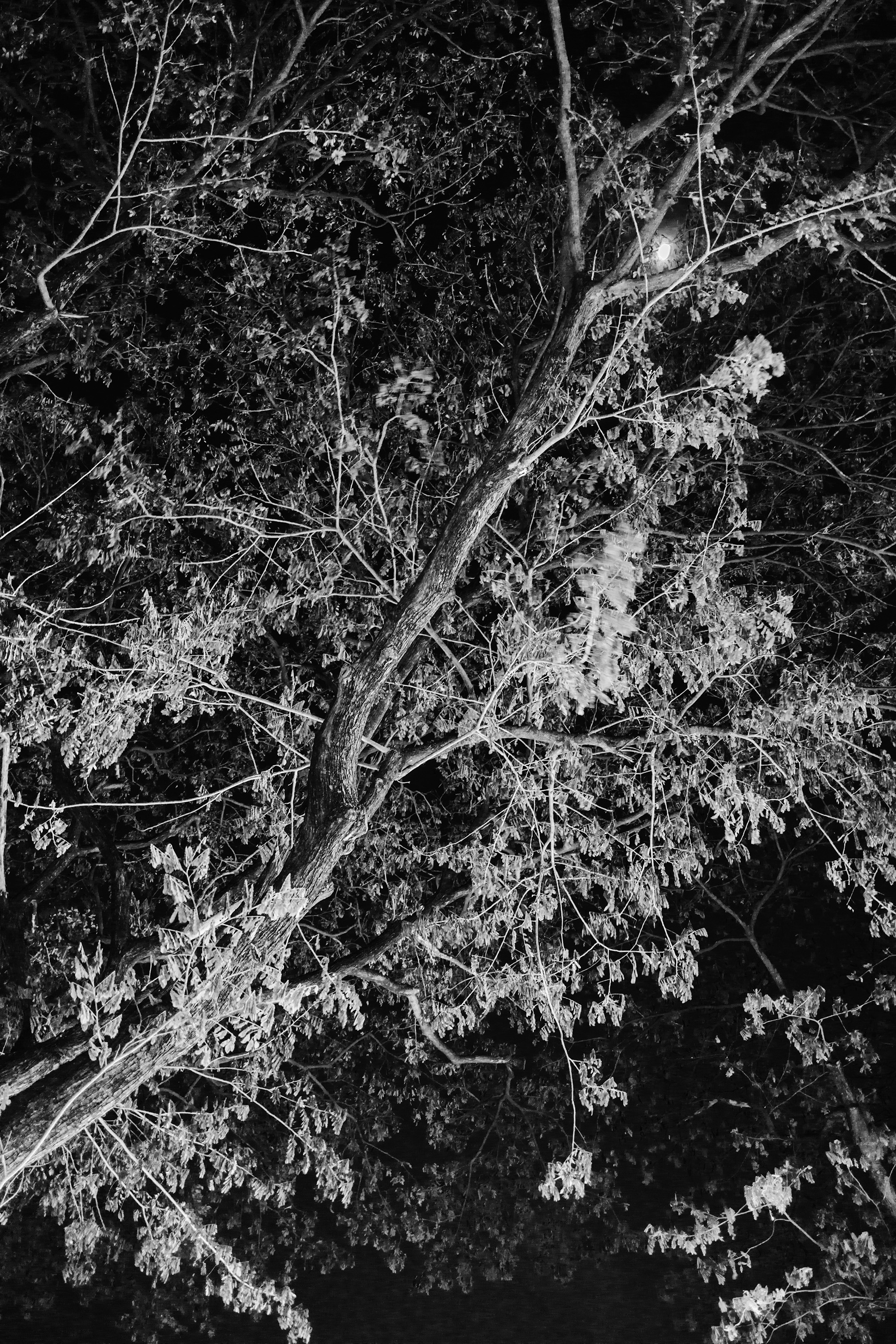 The Coast /sketch #12