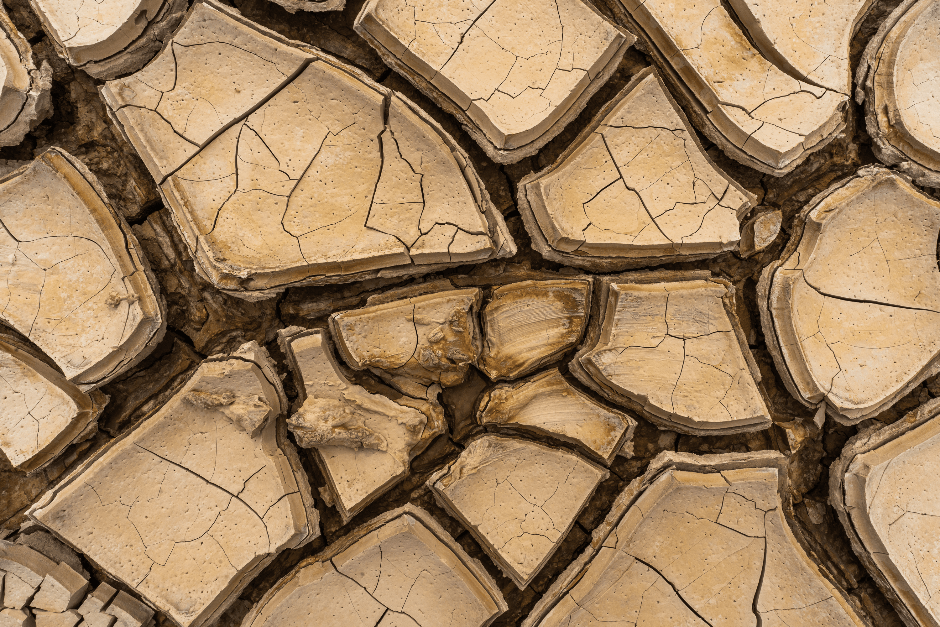 Expansion | Contraction #2