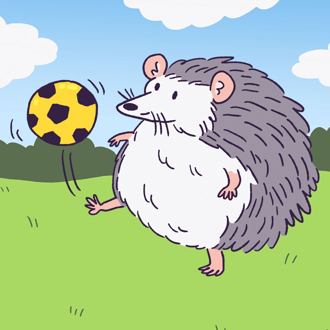 Hedgehog Kickabout #1666