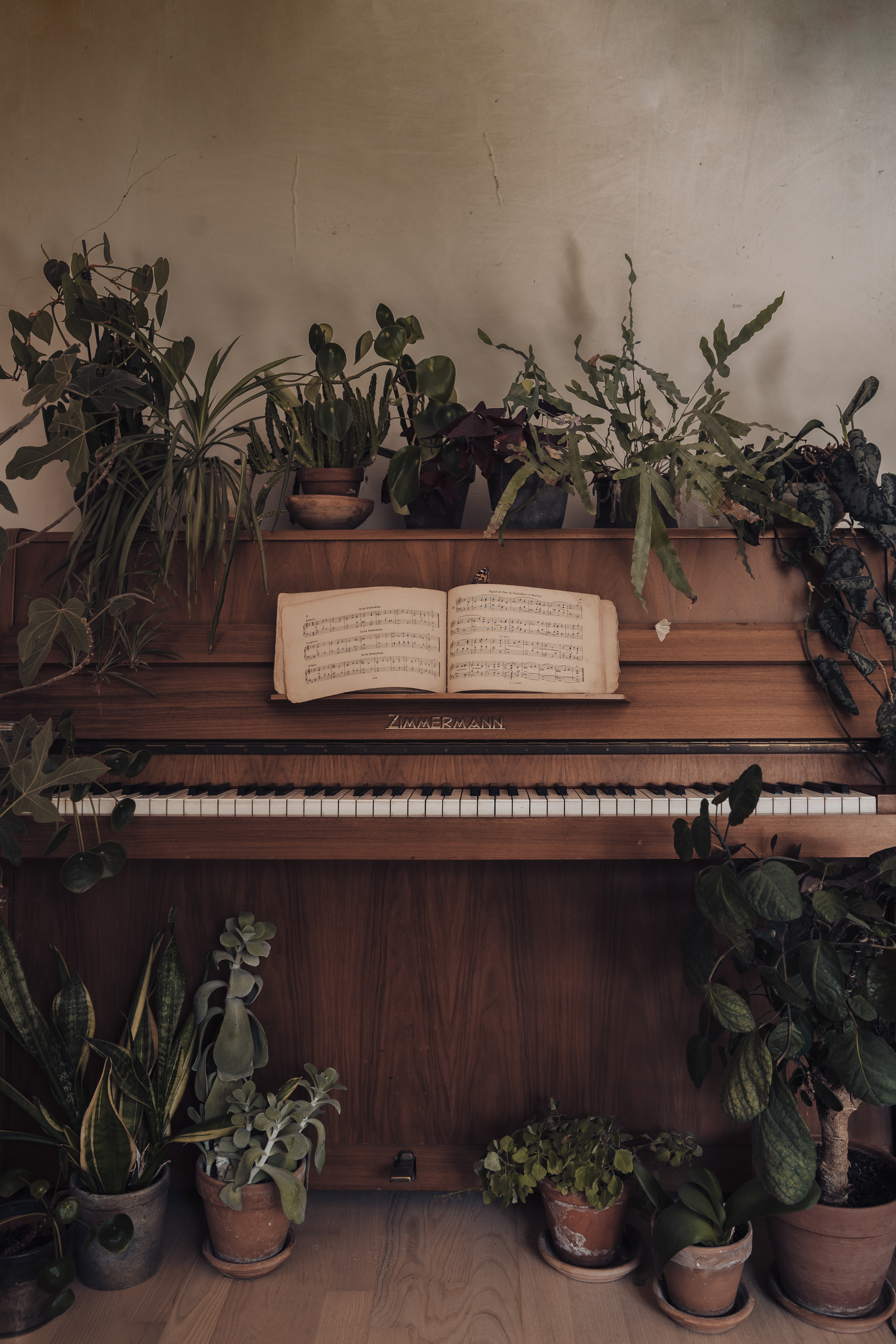 Music of my soul - Sonata No.1