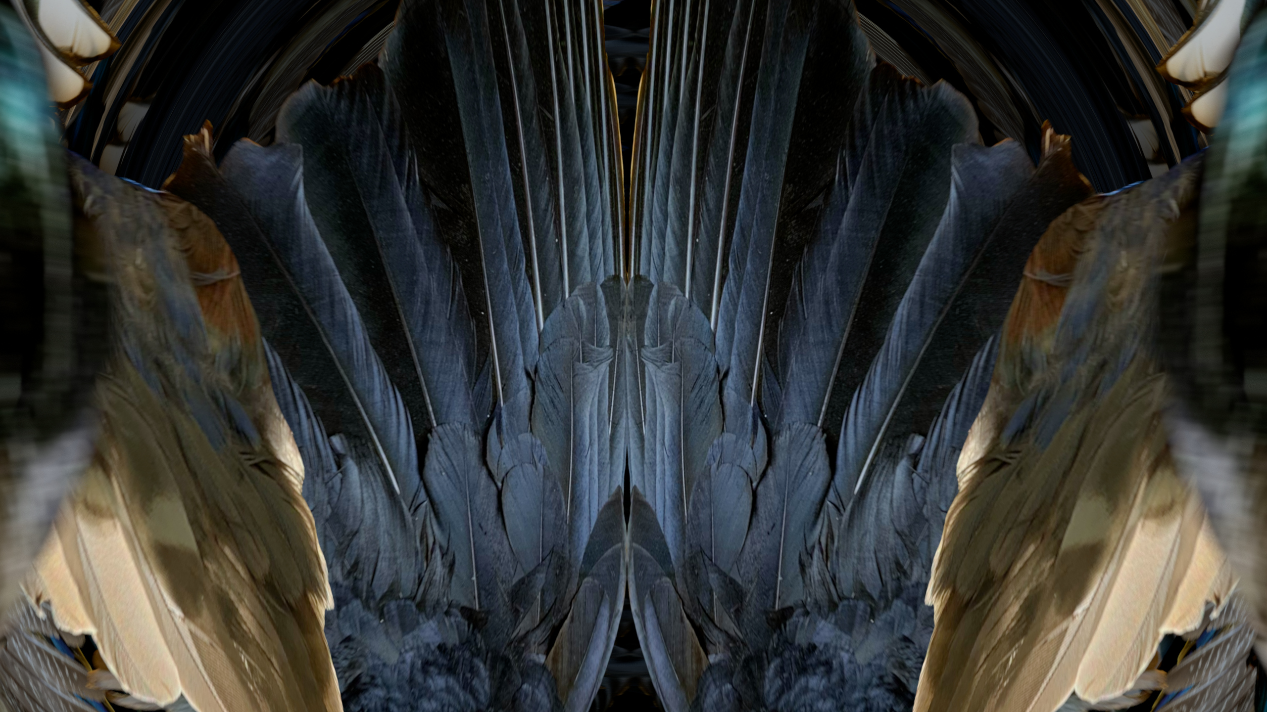 Fuga delle Sirene XVI