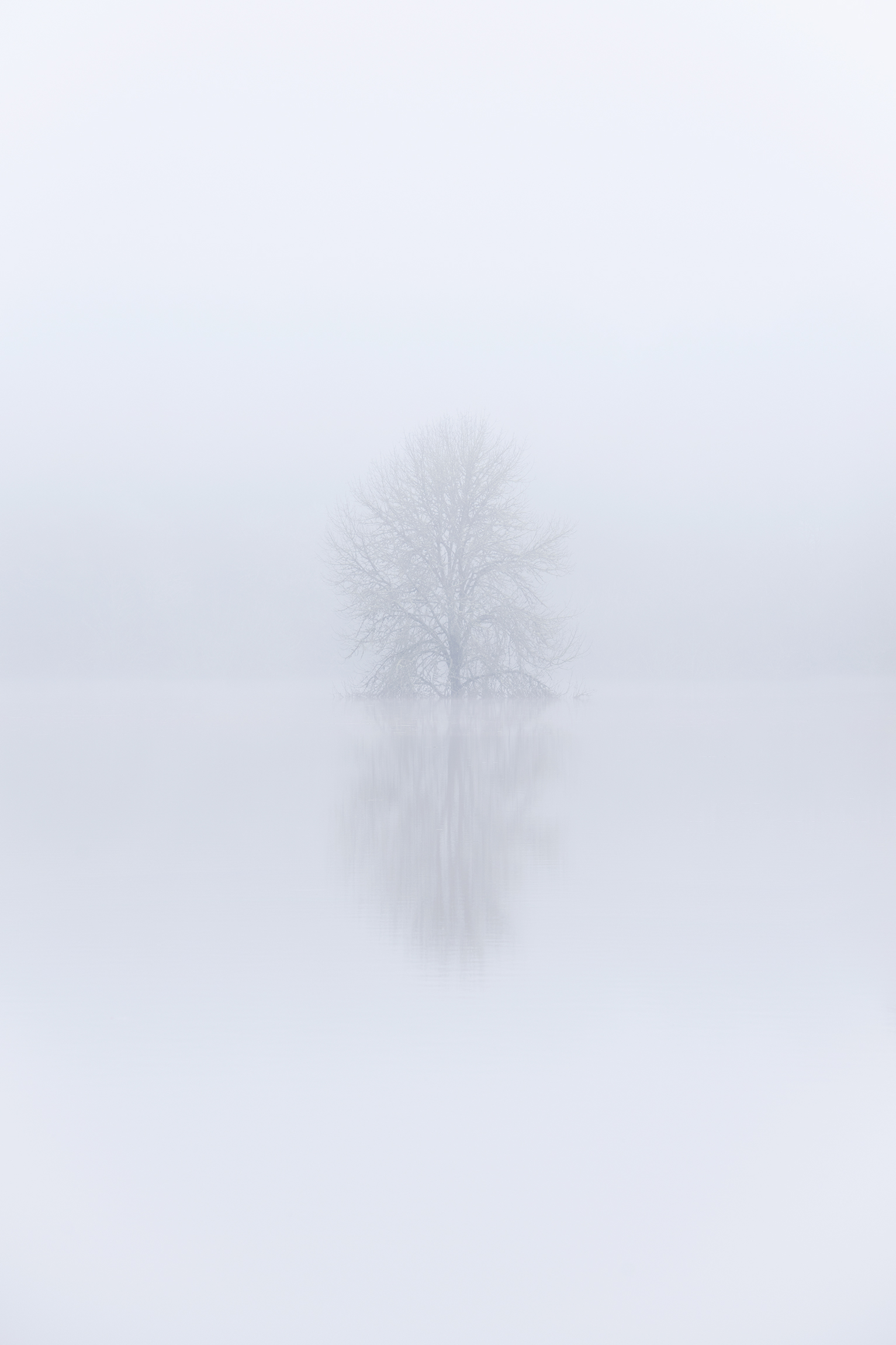 Introversion