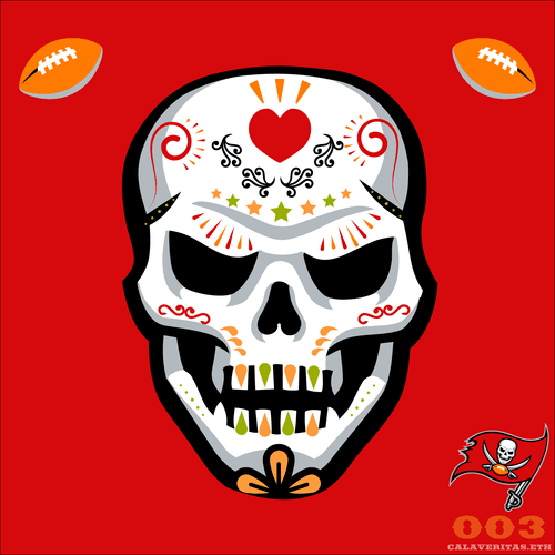 003 - Super Bowl Champions