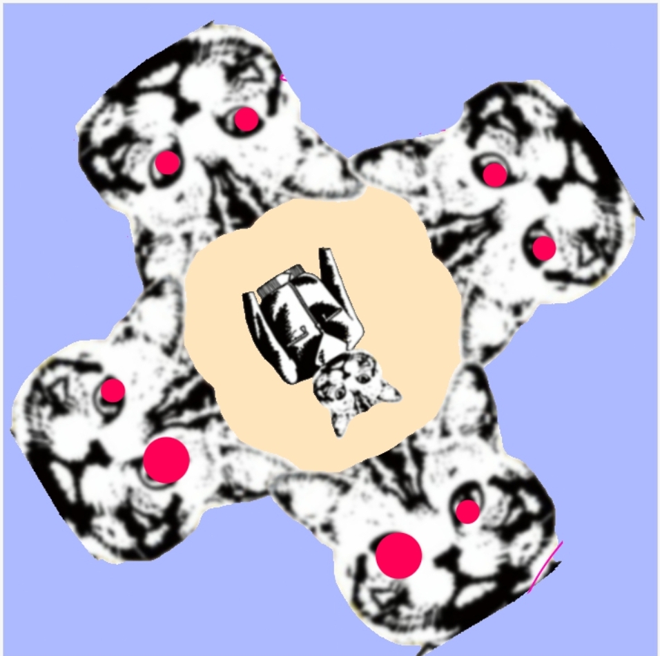 Eulerbeats LP10 REMIX 