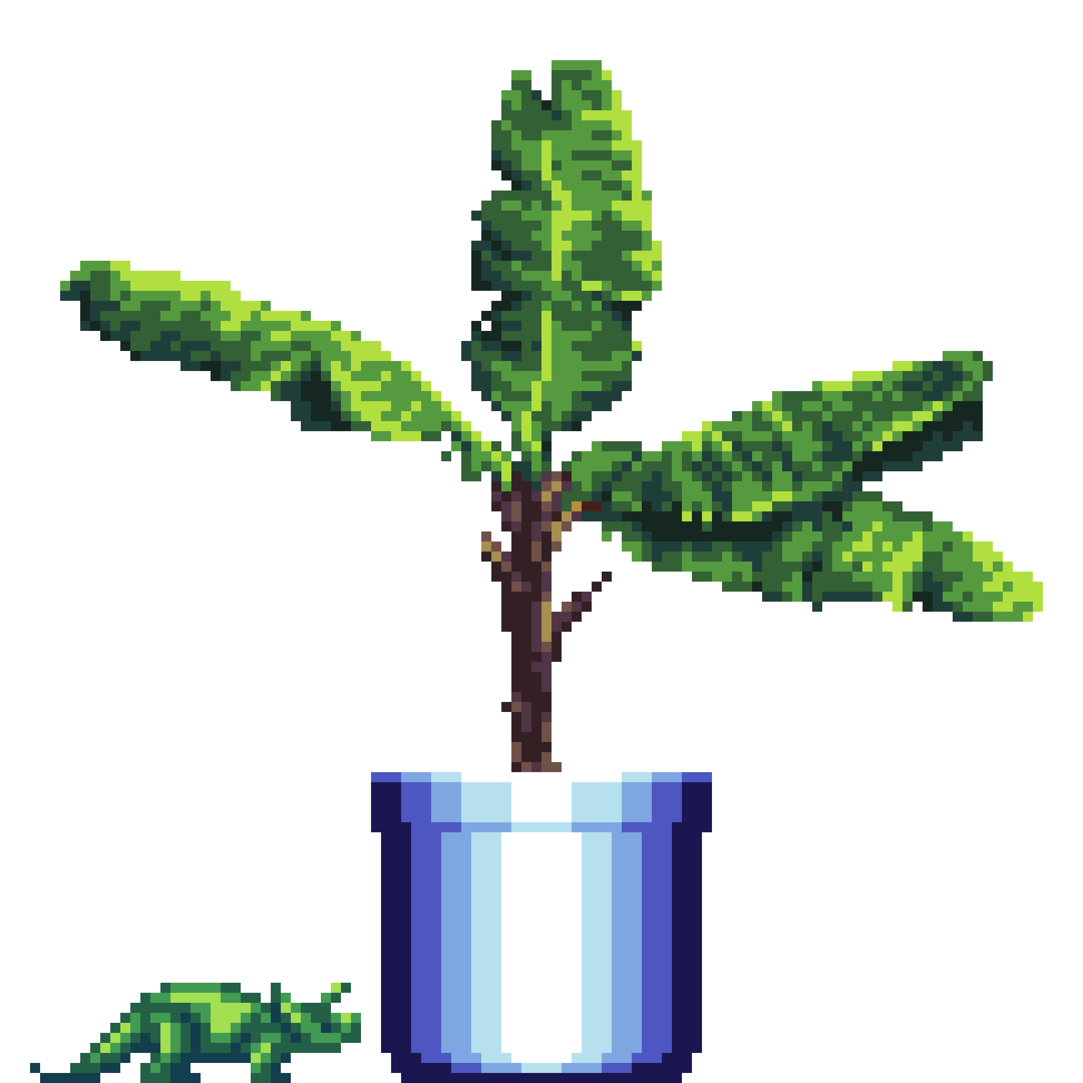 Banana Tree in Large Blue pot with Toy Dinosaur