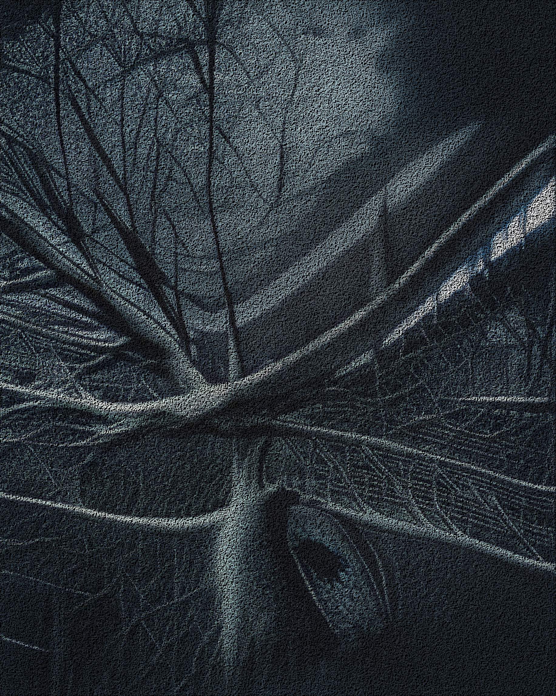 Nondescriptives | #93