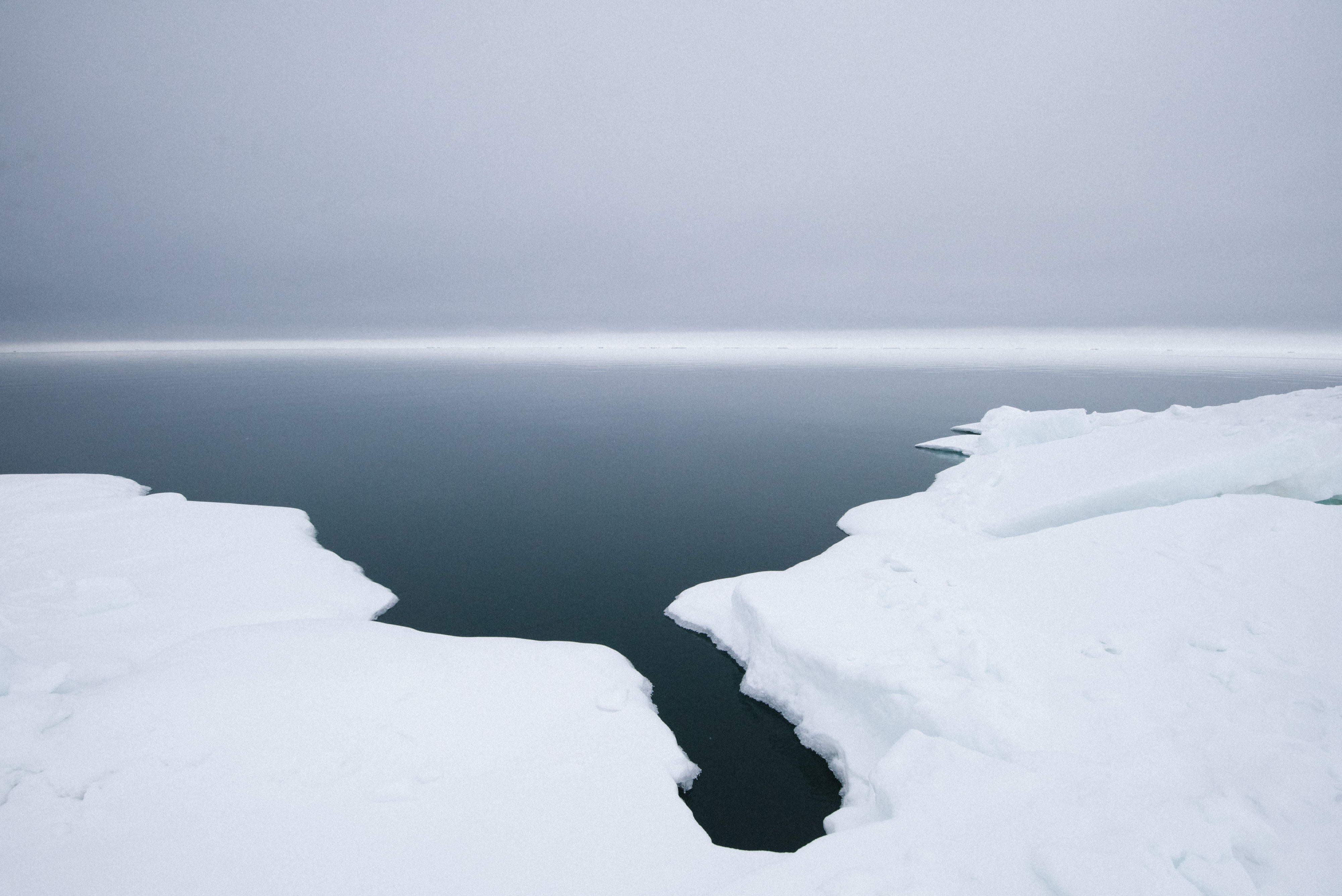 Rumors of Arctic Belonging - Undulating Tuvaq, Floe Edge, Point Nuvuk