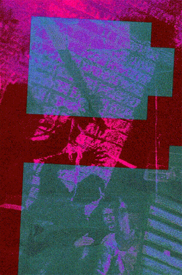 P-RG