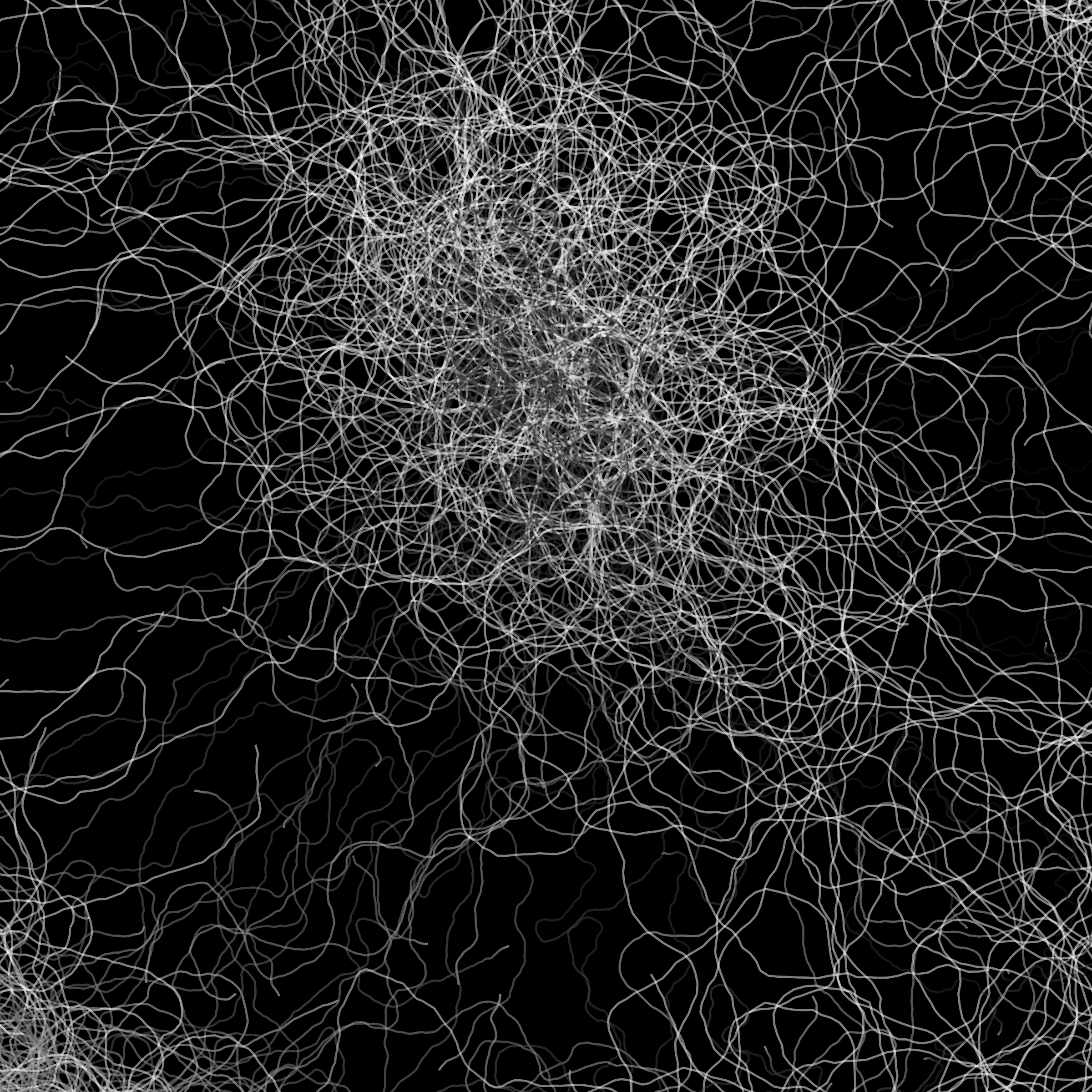 Phototaxis #272