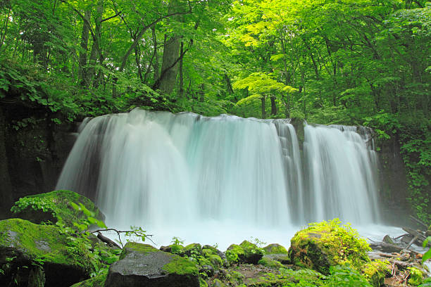 oxai.linea.eth Linea Name Service (.linea.eth domains) based on ENS PFP