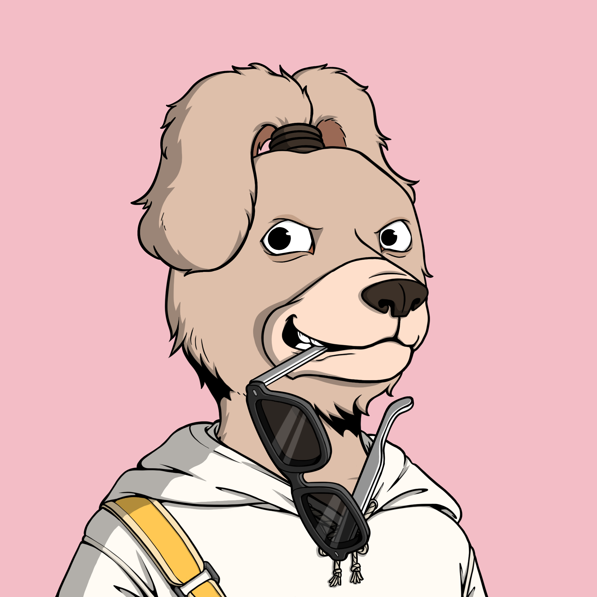 Okay Dog #9896