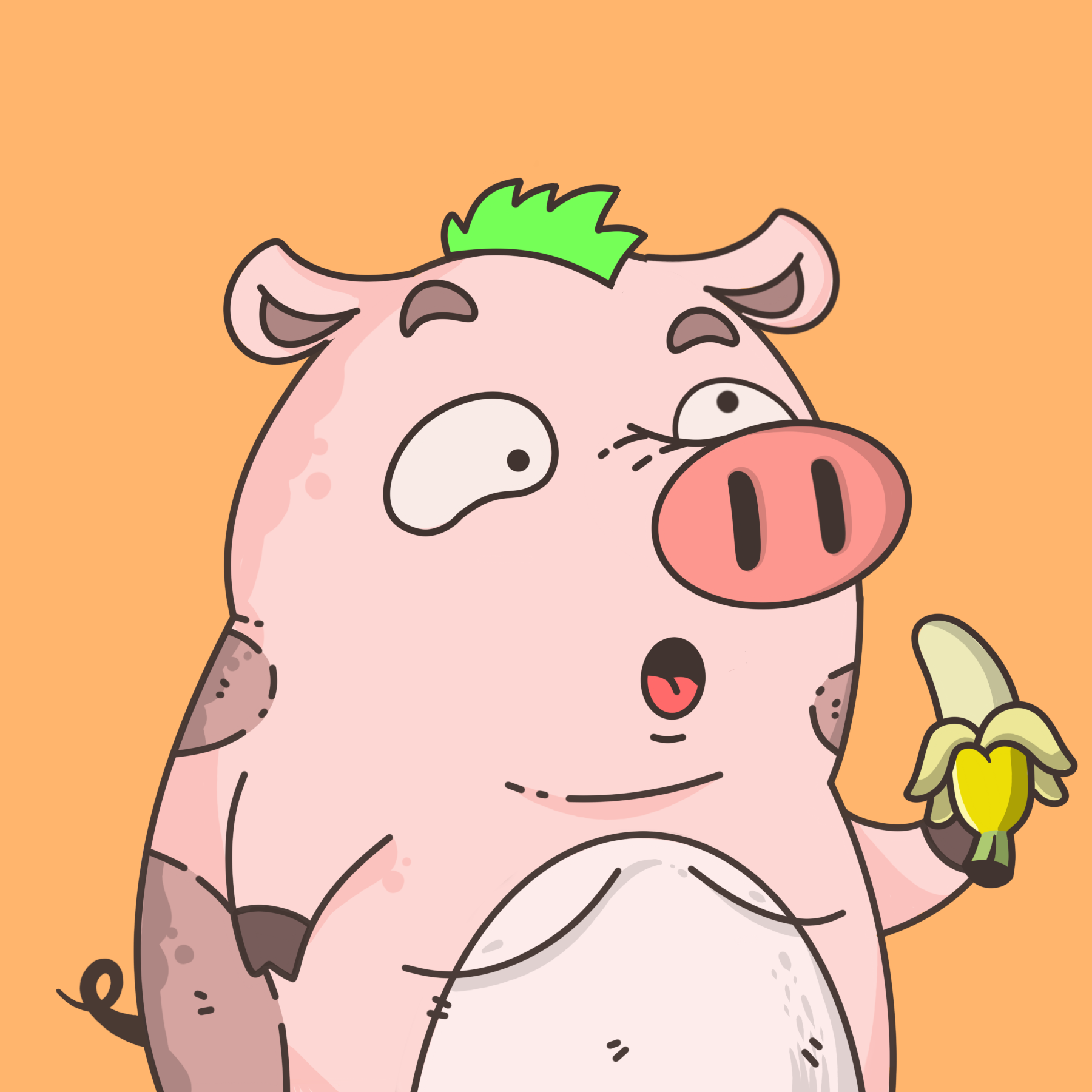 2798