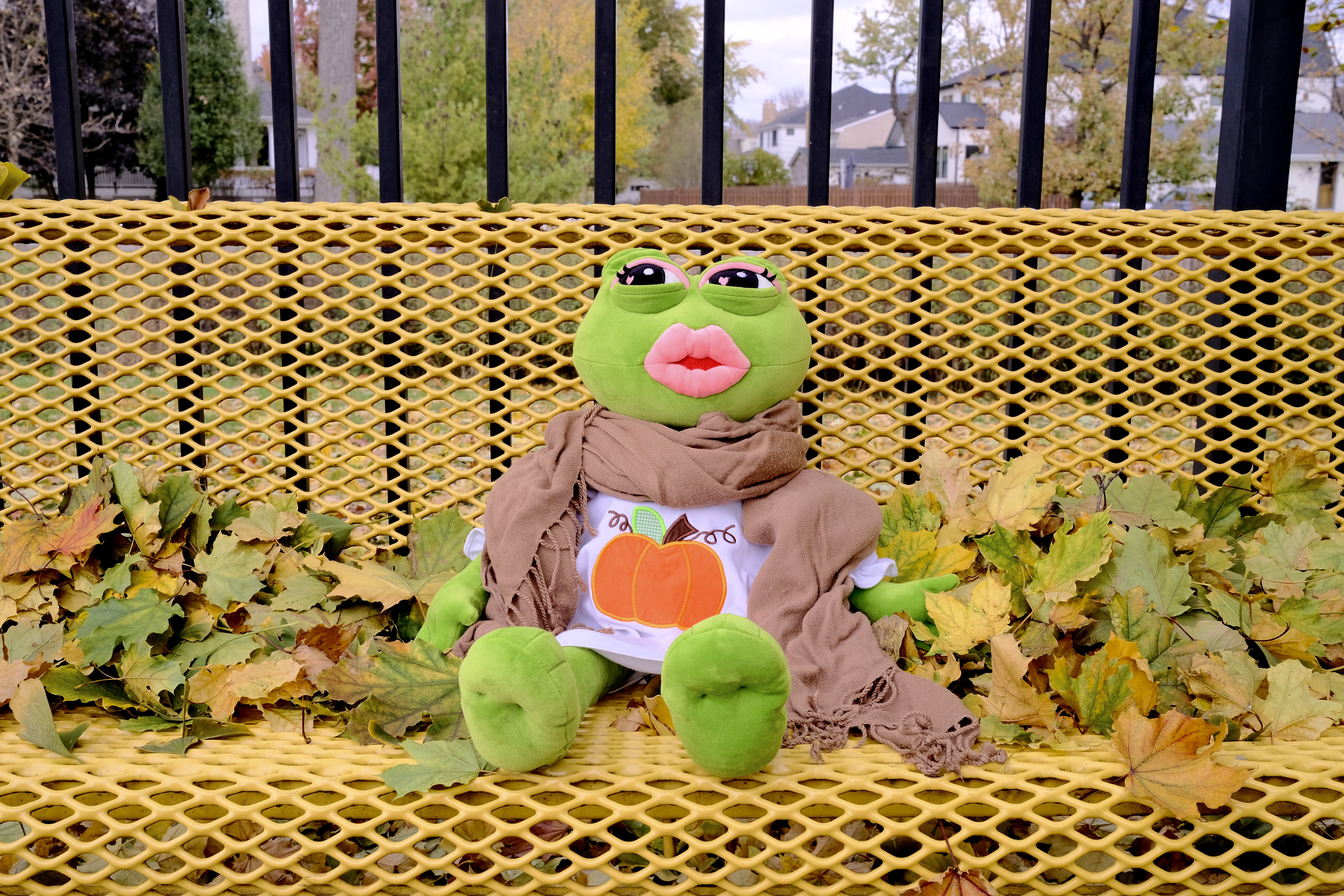 Lady Pepe Enjoys Autumn