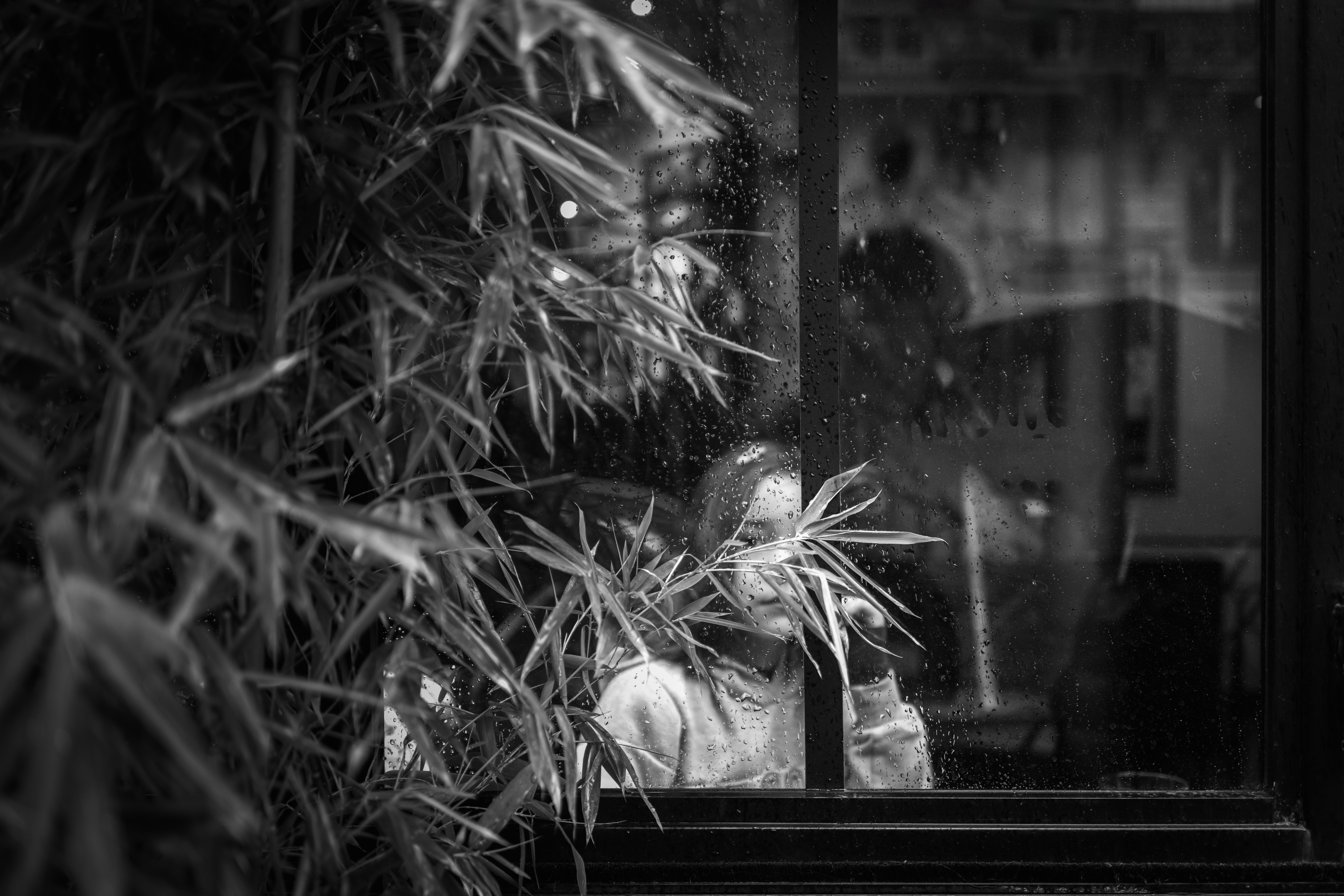 L'étoile filante sous la pluie