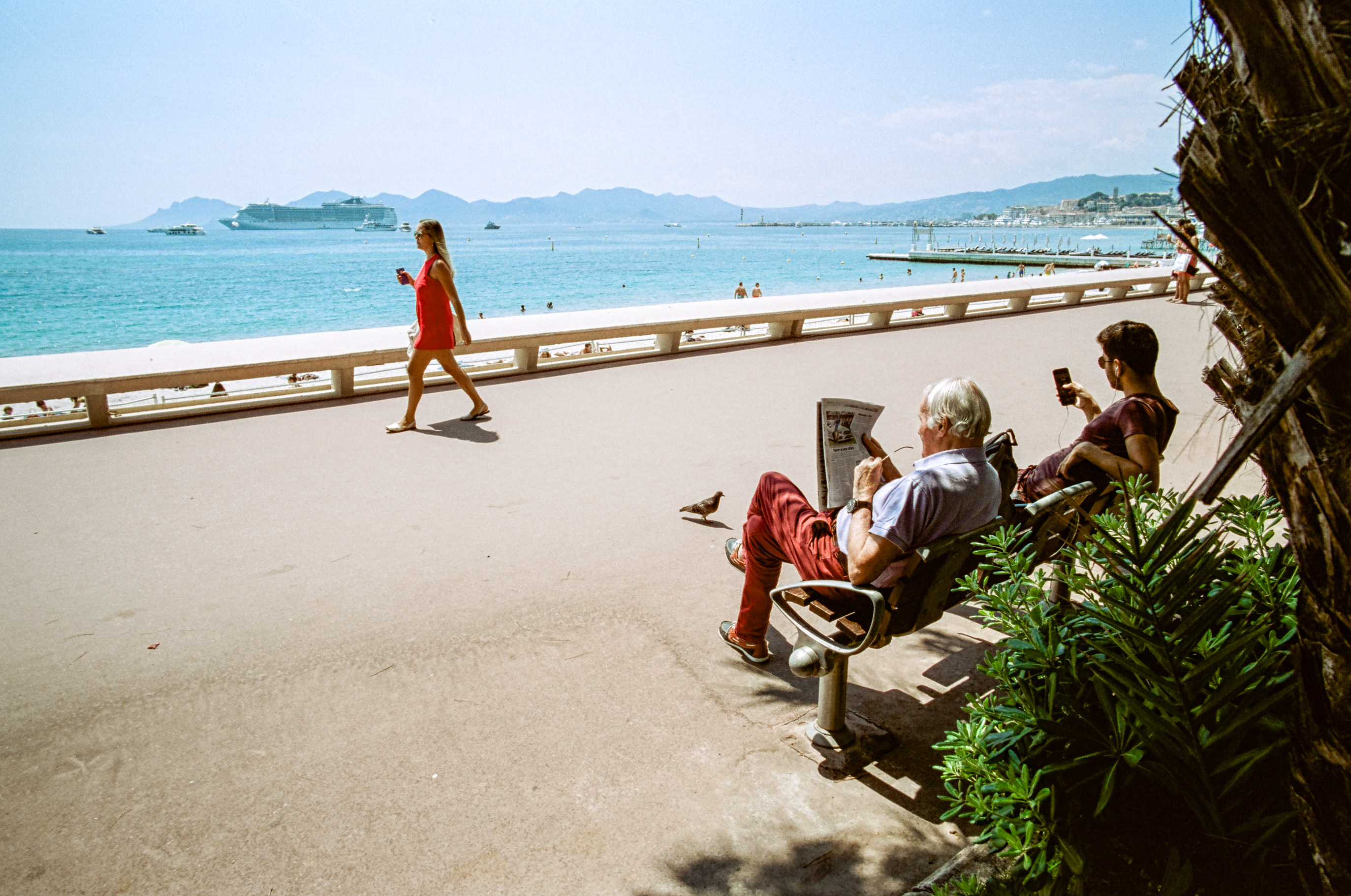 regarder l'observateurs